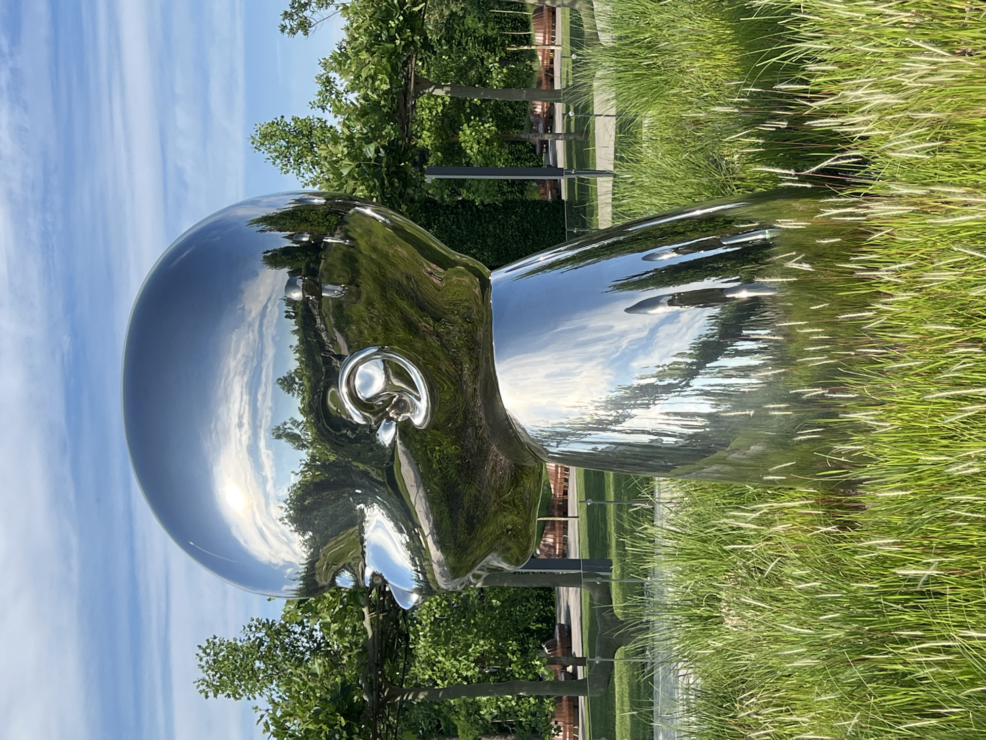The image shows a large, shiny, silver sculpture of a baby's head in profile, set against a backdrop of a park on a sunny day. The sculpture is made of polished metal and reflects the surrounding environment, including trees, sky, and clouds. The sculpture is positioned in tall, green grass. In the background, there are manicured trees, pathways, benches, and more grass. The sky is blue with scattered white clouds. The location is specified as the "Galitsky Park" in Krasnodar, Russia. There are no people visible in the image. The sculpture is the primary subject, with the park environment serving as its setting.