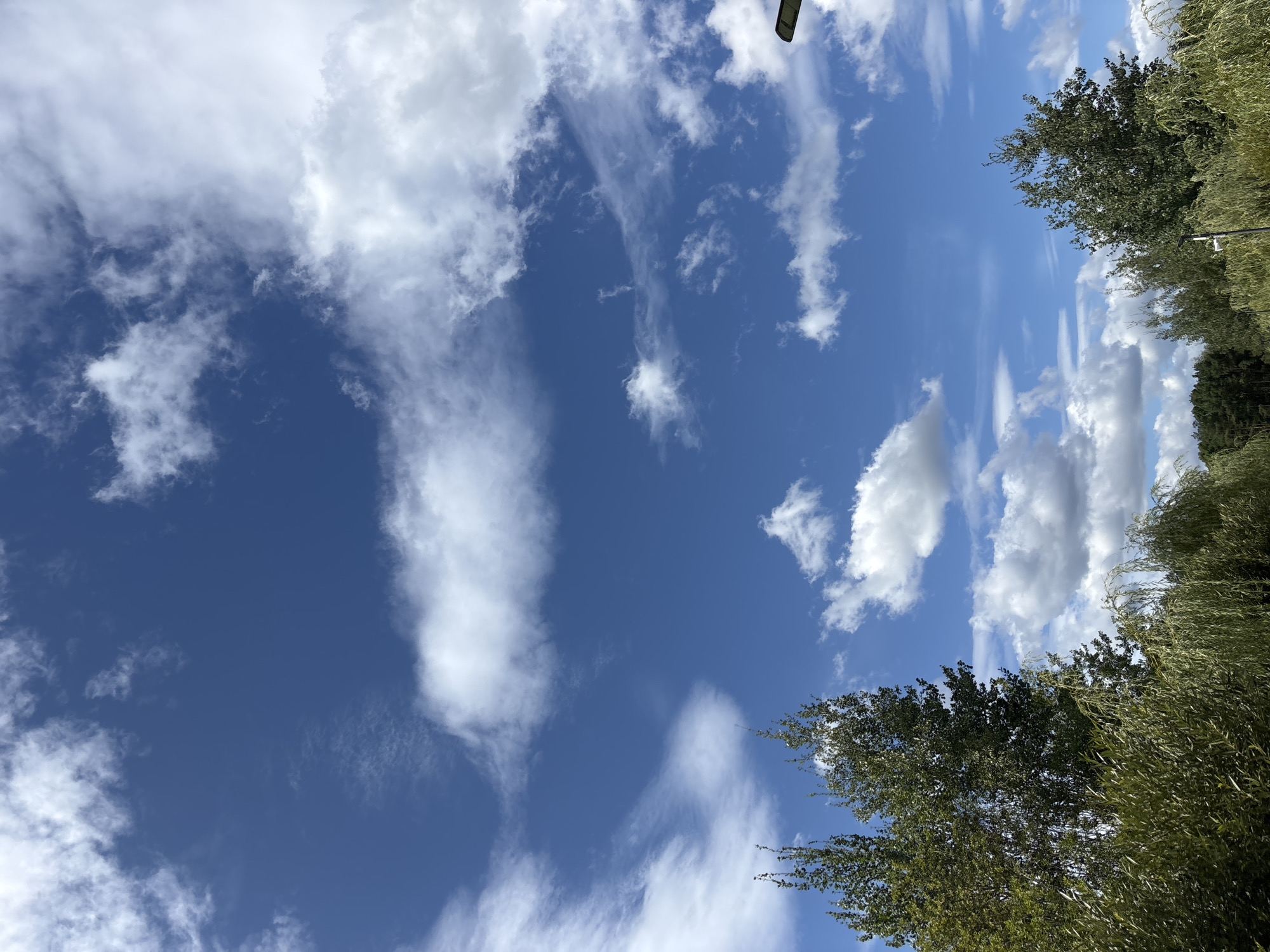 A wide-angle, eye-level outdoor photograph captures a bright, clear blue sky with scattered white clouds. Lush green foliage, including trees and weeping willow branches, fills the lower third of the frame, creating a natural foreground. A dark, modern-looking streetlamp is visible in the upper right corner, partially obscuring the sky. The image appears to be taken in Romashkovo, Russia, on a sunny day.