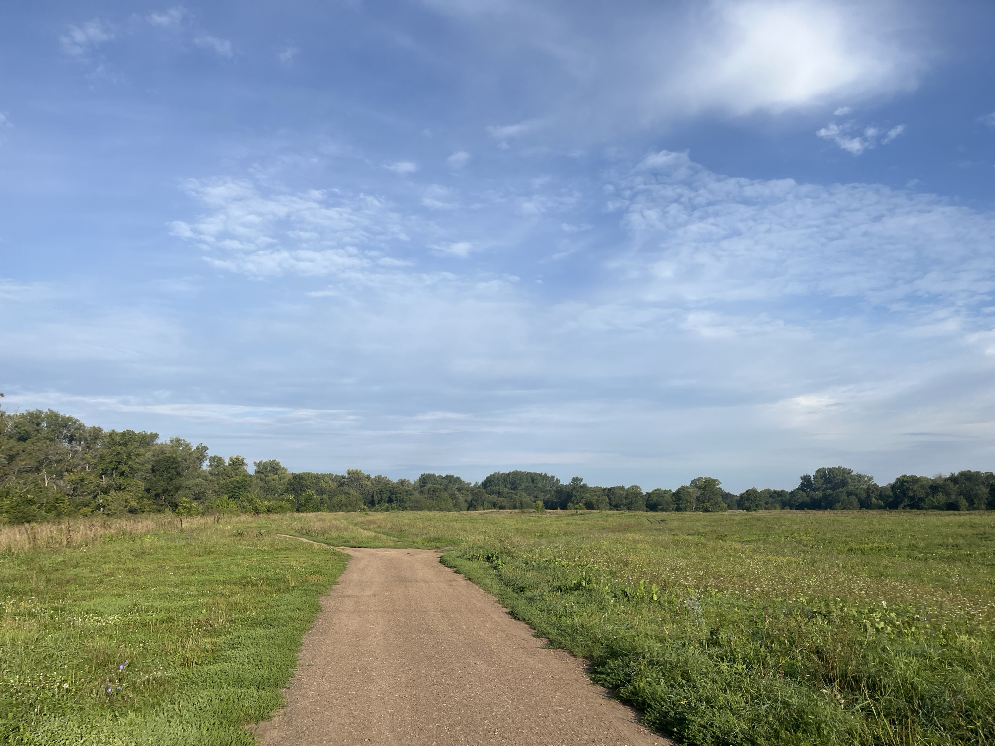 The image depicts a wide, dirt path leading through a green, grassy field. A line of trees forms a dense border at the far end of the field. The sky above is a pale blue, with scattered white clouds. The scene appears to be a natural landscape, possibly a park or a rural area, with no people or man-made structures immediately visible besides the path. The lighting suggests it is daytime, with the sun possibly obscured by clouds or low on the horizon. Based on the visual information, the location is a park or natural area in Ufa, Russia, characterized by open fields and a treeline.