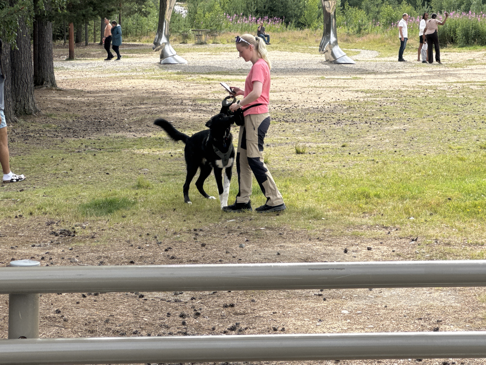 The image shows a woman in a pink t-shirt and tan pants walking a black dog in a park-like setting. The woman is looking at her phone, and the dog is looking up at her. In the background, there are several people, trees, and large metallic sculptures that resemble horse hooves. The ground is covered in dry grass and pinecones. A metal fence runs across the foreground of the image. The location appears to be the "Horse Power" installation in Atna, Norway, an outdoor art exhibit featuring large metallic horse hooves.
