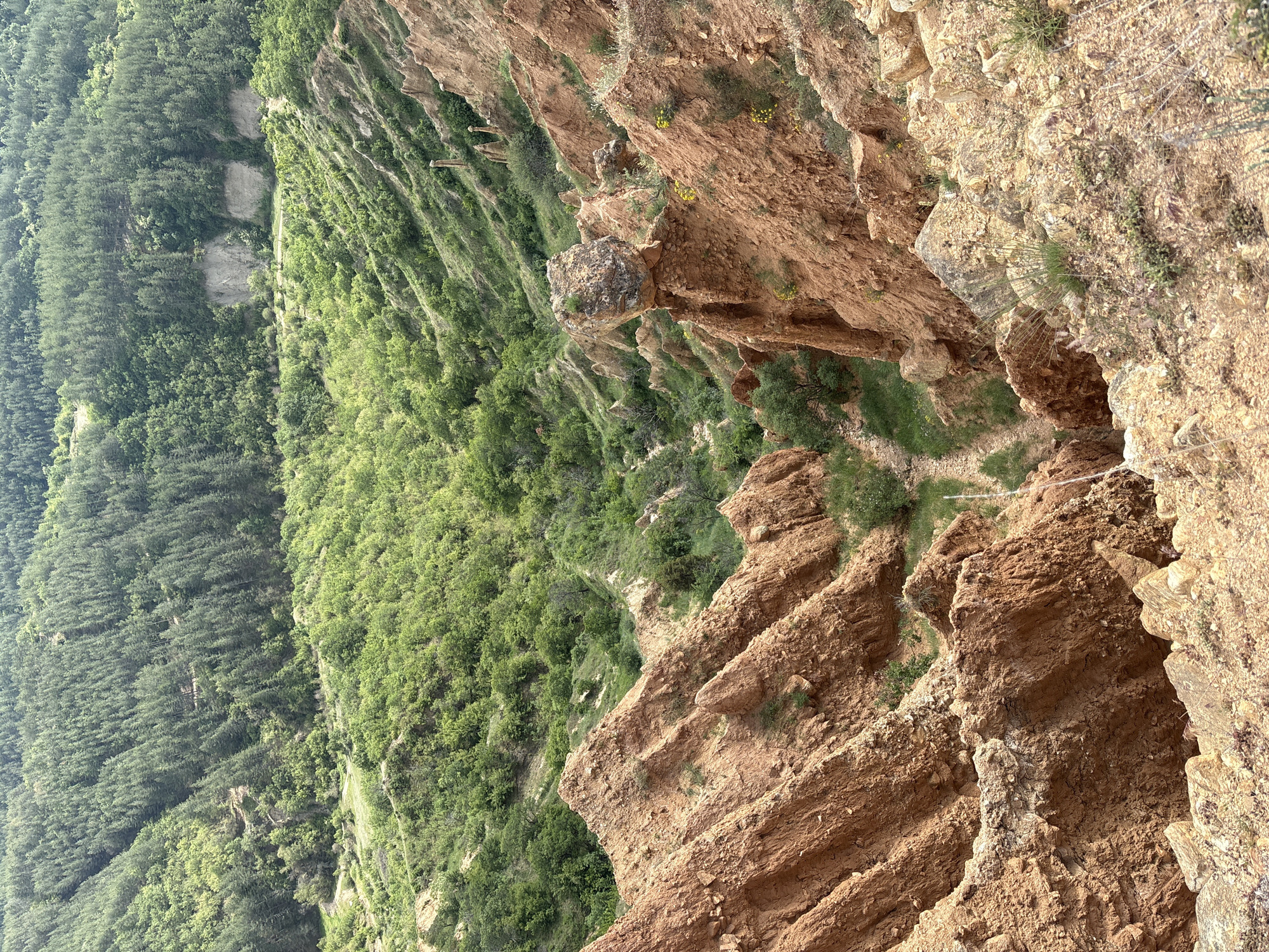 The image shows a landscape in Stob, Bulgaria, featuring a steep, rocky cliff face with layered, reddish-brown rock formations. The cliff edge transitions into a lush, green forested area with dense trees. A narrow path winds along the base of the cliff, with vegetation clinging to the rocky terrain. A prominent rock pillar is visible, precariously balanced atop a narrow base.