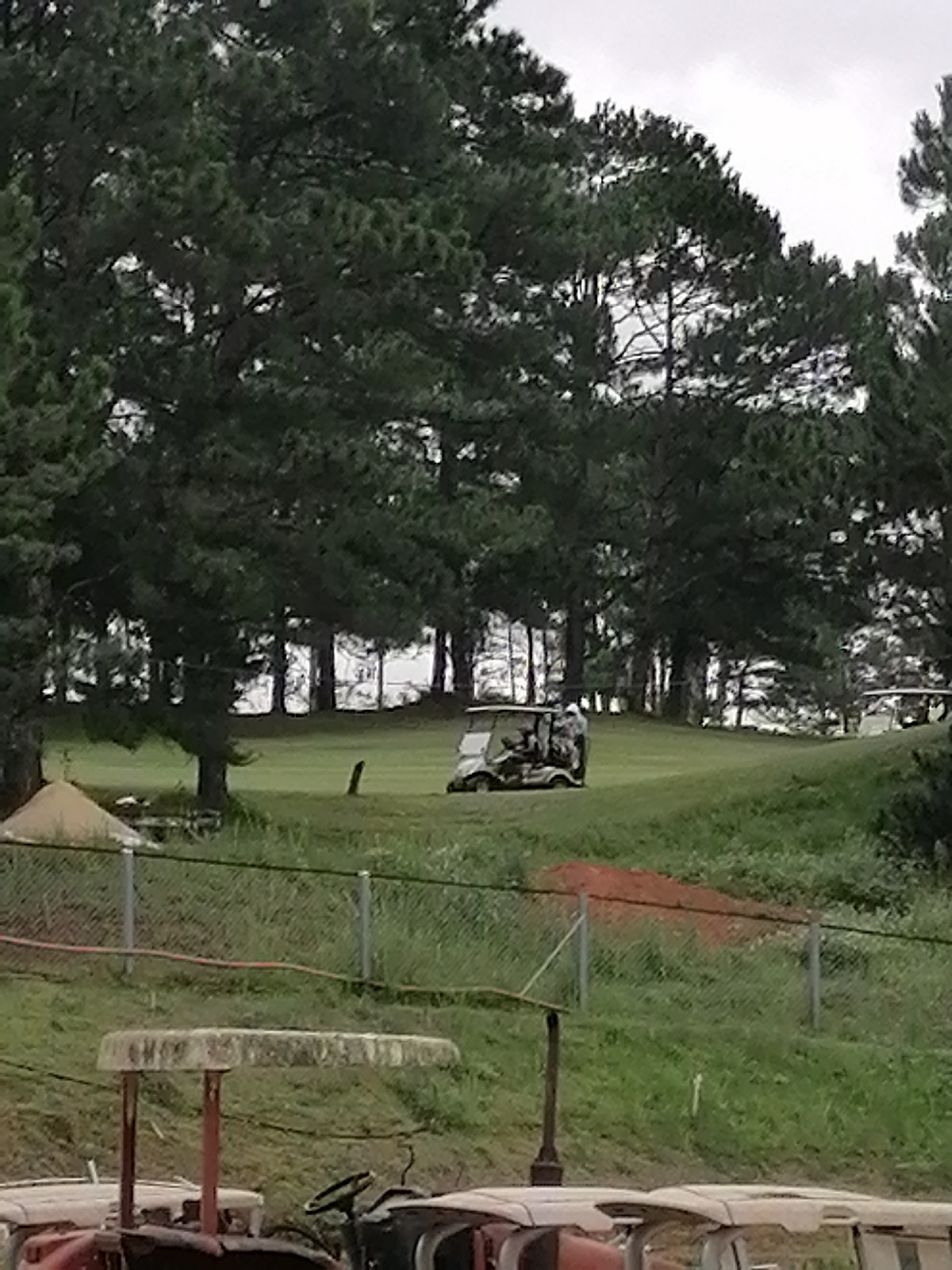 The image depicts a golf course scene in Da Lat, Vietnam. Several tractors are parked in the foreground. A chain-link fence separates the tractors from the green golf course. In the background, a group of pine trees lines the edge of the golf course. A golf cart is visible in the middle ground with at least one person inside. Another golf cart can be seen further in the background behind the first. There is a small pile of sand near the fence. The sky appears overcast.