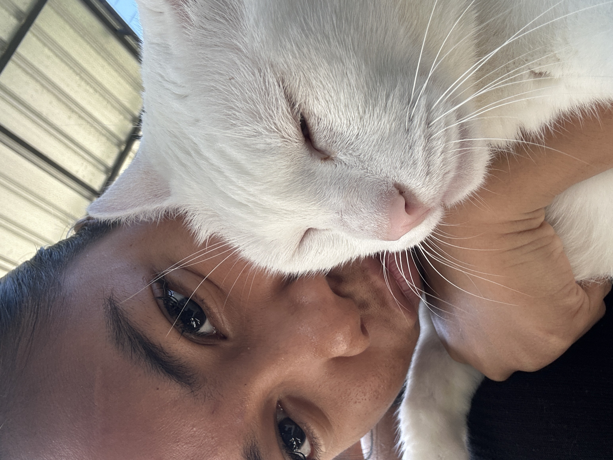 A close-up, overhead shot shows a young Black person with their face turned towards the camera, holding a white cat. The person's dark hair is pulled back, and their face is slightly blurred, with visible eyelashes and eyebrows. The cat's face is in sharp focus, with its eyes closed and its pink nose and long white whiskers prominent. The cat is white with some patches of black fur. The person's hand is visible holding the cat. In the background, a corrugated metal roof is visible. The image appears to have been taken outdoors, possibly in a shaded area. There is no specific indication of the location within Sukawati, Indonesia.