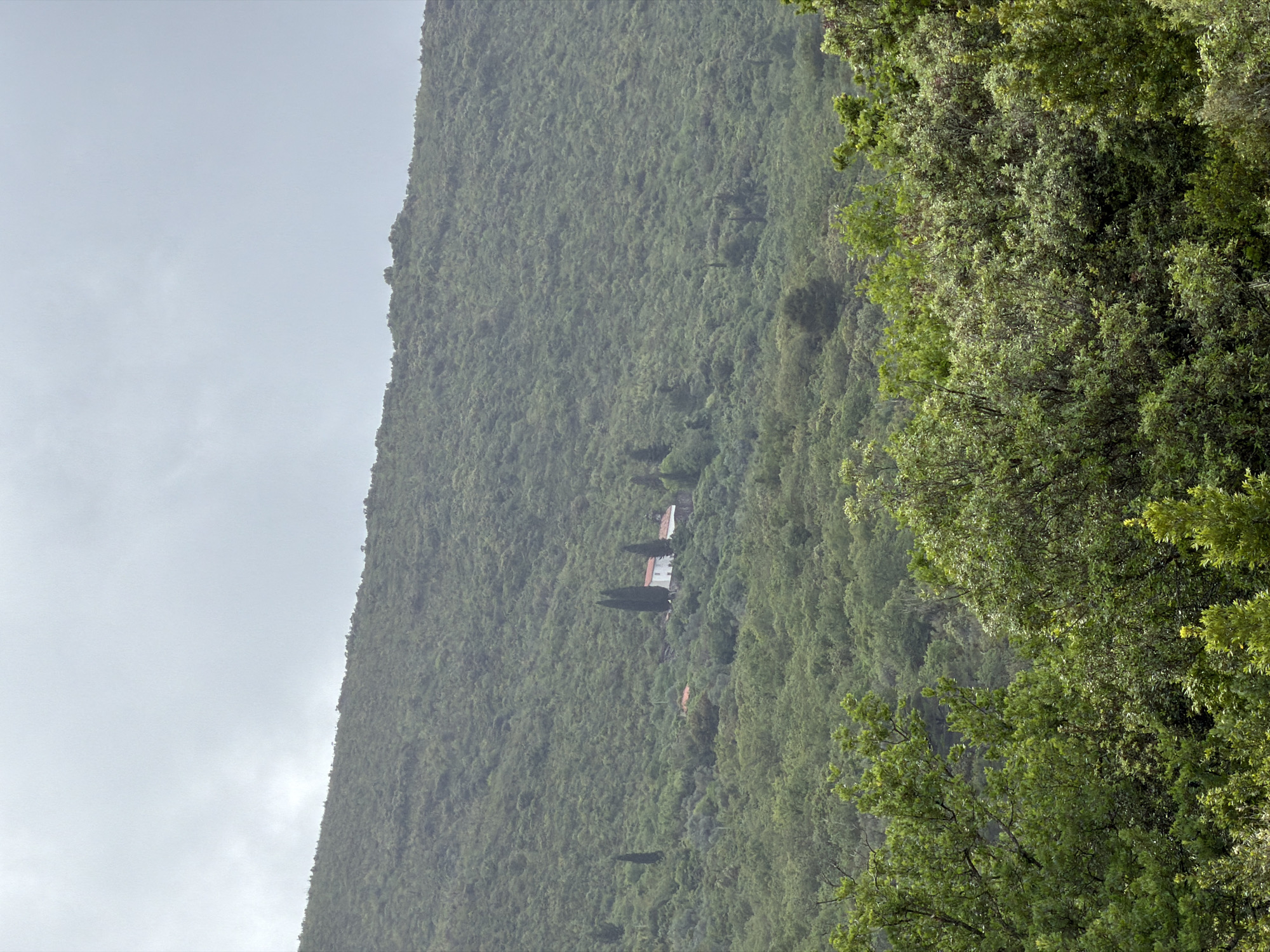 The image depicts a mountainside densely covered with green foliage and trees, possibly located near Krašići, Montenegro. The sky is overcast with a gray hue. A few buildings with reddish roofs are sparsely distributed among the trees on the slope. Additional greenery is visible in the foreground on the right.