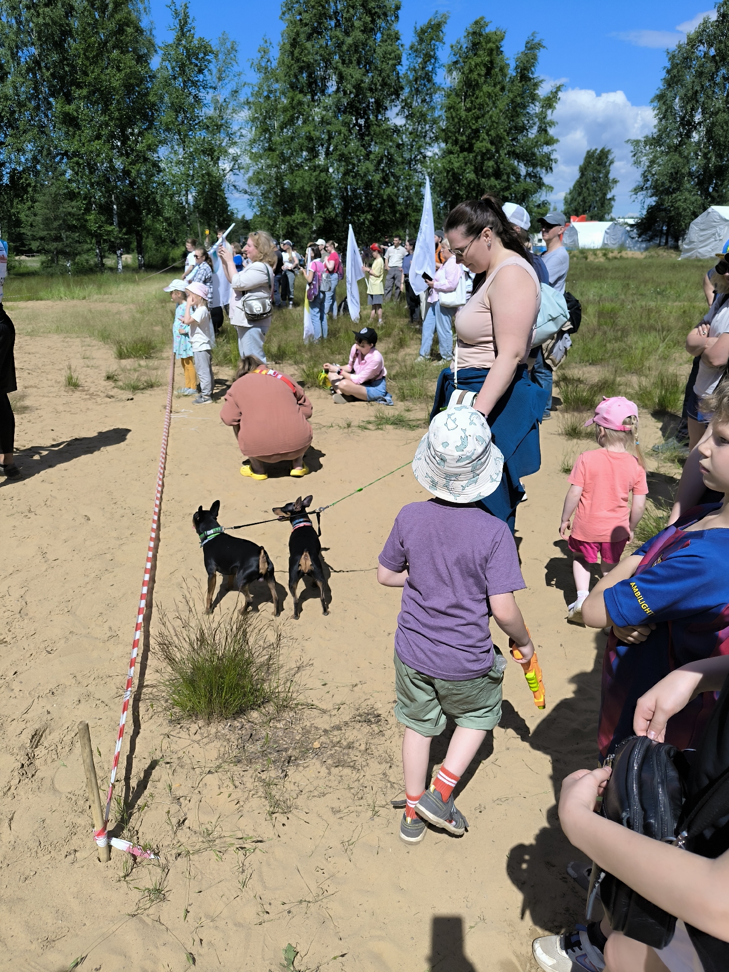 A crowd of people is gathered outdoors in a sandy area with sparse vegetation and trees in the background. The scene appears to be a daytime event under a clear blue sky with some clouds.
In the foreground, two small black dogs on leashes are being walked on the sand. Behind the dogs, a person wearing a wide-brimmed hat and a purple shirt is walking away from the camera, holding an orange toy. To the right, a child in a blue shirt with the word "AMBI LIGHT" is standing.
Further back, a woman in a light pink tank top and blue skirt is interacting with other people. Some individuals are holding white flags. Children in various casual outfits are scattered throughout the scene.
A red and white striped ribbon is marking a boundary on the sand, with a wooden stake. Several tents or structures are visible in the distance. The overall atmosphere suggests an outdoor gathering or event. The location is identified as Sertolovo, Russia.