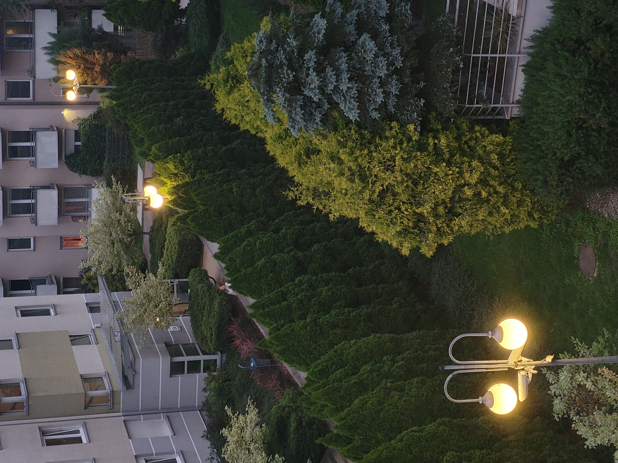 The image depicts a residential courtyard with a multi-story apartment building and meticulously landscaped grounds. The building has light-colored facades with multiple windows and balconies. The courtyard features a lawn, a paved walkway, and an abundance of evergreen trees, primarily conical in shape, creating a sense of enclosure. Several lampposts with globe-shaped lights illuminate the scene. In the background, a lone person is visible on the walkway. The overall impression is one of a well-maintained urban living space.