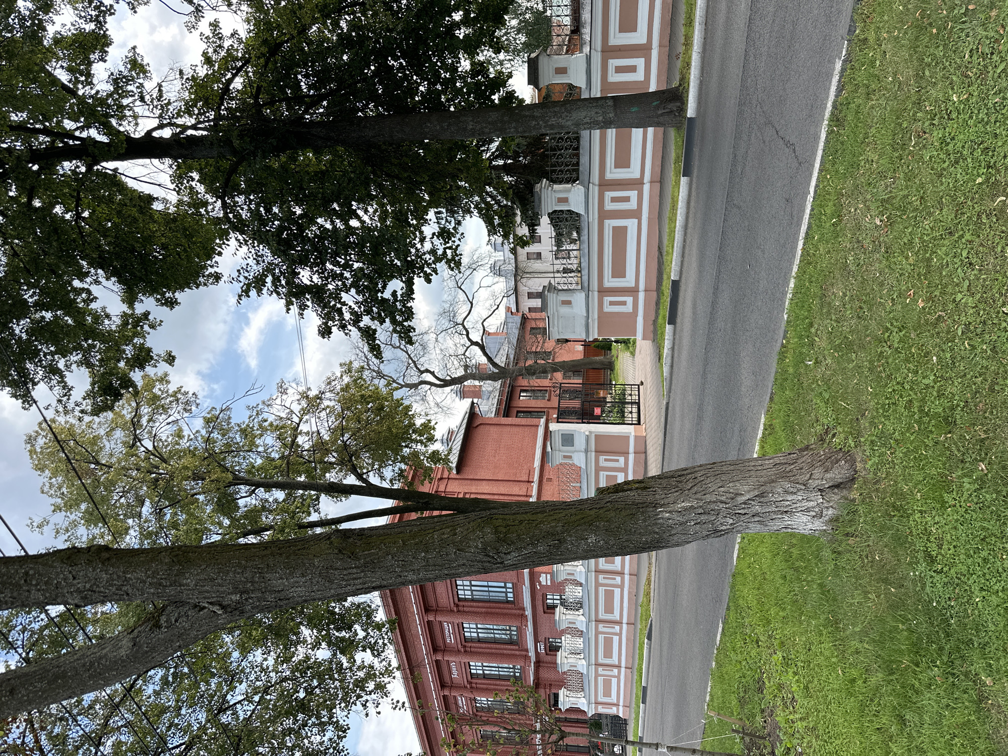 A medium shot captures a street scene in Zhukovo, Russia, with a focus on a brick building and its decorative fence. The building, a prominent red brick structure with multiple windows and architectural details, appears to be a historical establishment, possibly housing a restaurant or cafe, as indicated by Cyrillic lettering above the windows. A section of a white and pink ornamental fence runs along the sidewalk, featuring columns and patterned panels. The street itself is paved asphalt with a distinct white and black curb. Lush green grass borders the street and sidewalk. Large trees, one with a rough, textured bark and the other with denser foliage, frame the composition, their branches reaching towards a sky with scattered clouds. The overall impression is one of an urban environment with a blend of historical architecture and natural elements.