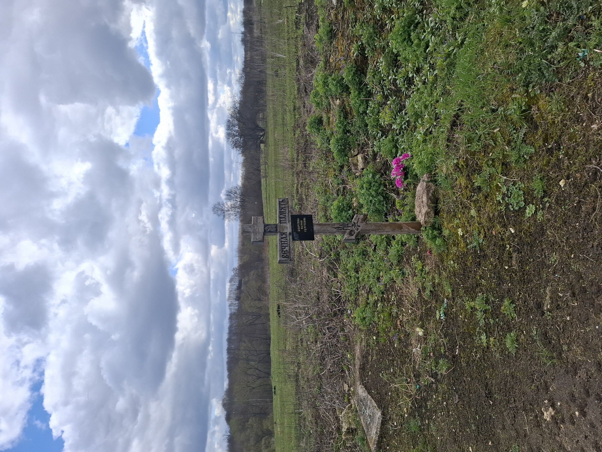 The image, rotated counter-clockwise, captures a rural outdoor scene, likely a gravesite, under a dynamic sky. In the foreground, on the right, vibrant green grass and weeds grow amidst patches of dark soil, with a small cluster of bright pink flowers and a light-colored rock.
Two wooden crosses are central to the image. A rustic, darker wooden cross stands prominently, bearing a black plaque with white Cyrillic text. The inscription reads: "ВЕЧНАЯ ПАМЯТЬ" (Eternal Memory) above "БОЛТОВА АЛЕКСАНДРА СЕРГЕЕВНА" (Boltova Alexandra Sergeevna). A second, partially visible wooden cross is to its left. The ground around the crosses is a mix of bare earth and dry vegetation.
Behind the gravesite, a vast green field extends to a distant line of deciduous trees, their branches bare, suggesting late winter or early spring. The sky is filled with large, billowy grey and white clouds, with prominent sections of bright blue sky visible. The scene, captured during the daytime under partly cloudy weather, evokes a sense of solemn remembrance in a natural setting in Nerezha, Russia.