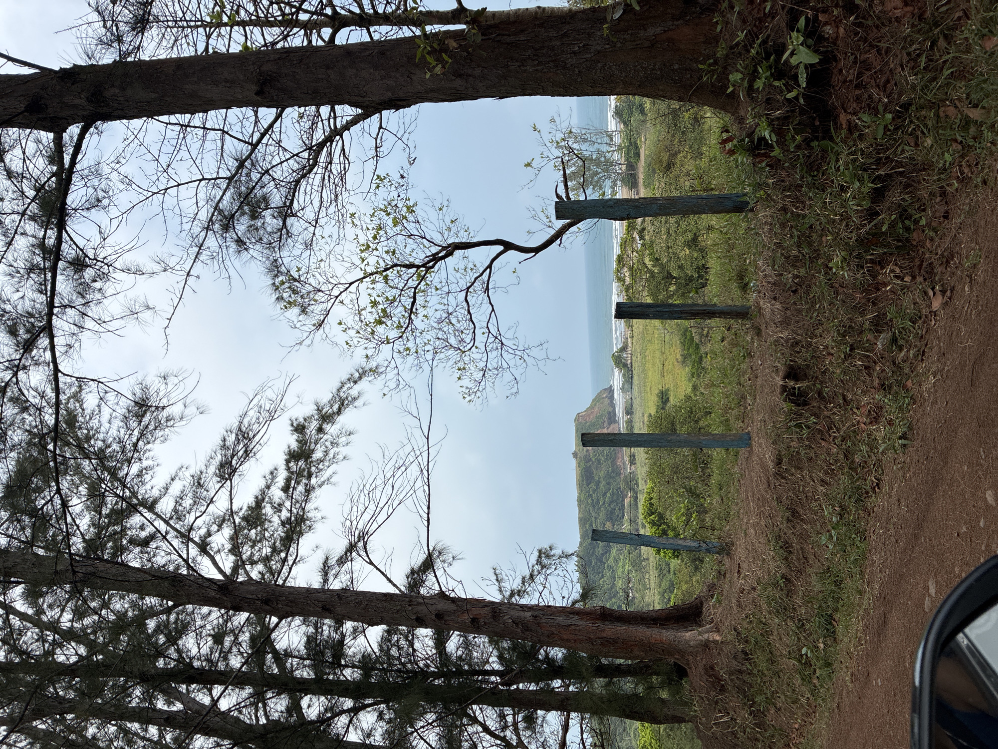 The image shows a landscape in Peña Hermosa, Mexico, viewed from a slightly elevated position between two trees. The foreground is framed by the trunks and branches of these trees, one on the left and the other on the right. In the distance, a coastal scene is visible, with a beach meeting the ocean under a cloudy sky. Between the trees, a grassy area slopes downhill towards the beach. A series of four wooden posts stand along the slope, likely serving as part of a barrier. The vegetation on the slope consists of grass and other low-lying plants. A portion of a car's side mirror is visible in the lower right corner of the image.