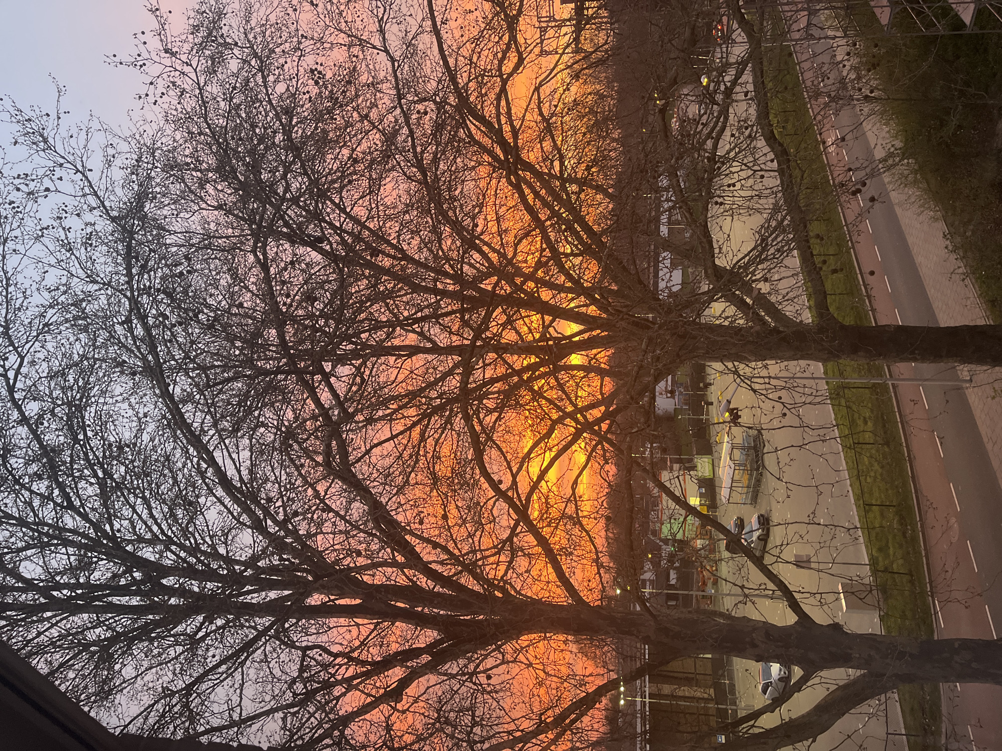 The image presents an elevated view of an urban landscape in Maastricht, Netherlands, during a sunrise or sunset event. The sky displays a striking color gradient, transitioning from intense orange and yellow hues at the lower horizon, indicative of a low sun position, to lighter pinks and pale blues in the upper sky.
In the immediate foreground, a dark architectural element, likely a window frame or balcony edge, is visible in the top left corner. Dominating the central and left portions of the frame are the silhouettes of two large deciduous trees, characterized by extensive networks of bare branches and numerous spherical seed pods, consistent with plane trees.
Below and beyond the trees, a substantial paved area, functioning as a parking lot or open plaza, is visible. Several vehicles are parked on this surface: a white sedan or hatchback is on the left, a silver sedan is near the center, and a darker vehicle is further back. To the right of the paved area, an open-sided structure with a roof, potentially housing yellow carts or bins, is present. In the mid-ground, various low-rise buildings and structures are discernible, some exhibiting illuminated lights, silhouetted against the bright horizon.
A black metal fence separates the paved area from a strip of green grass and a multi-lane roadway. The road features clear white lane markings and includes a distinct red-surfaced cycle path with white broken lines. No individuals are visible within the depicted scene.