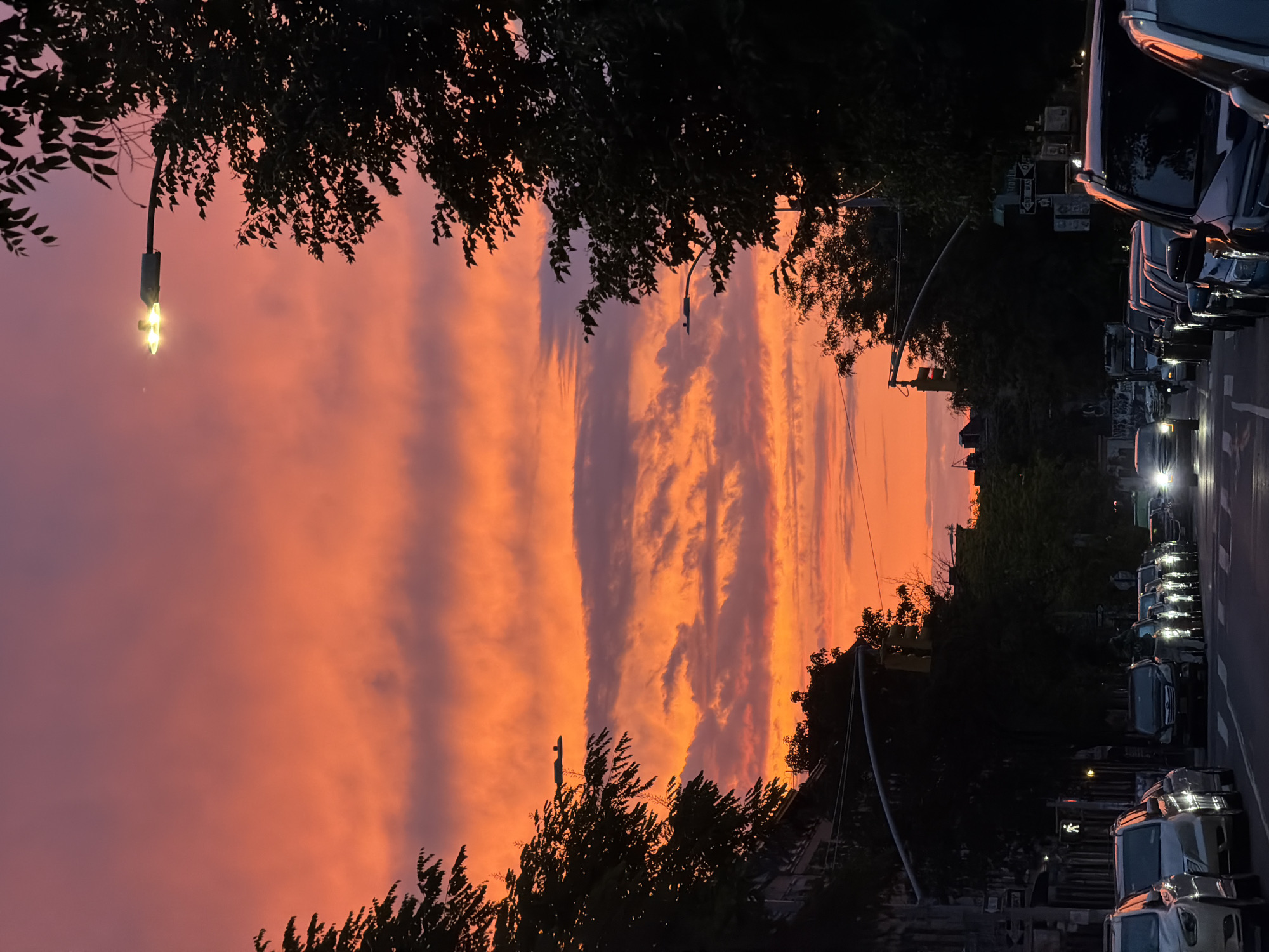 Here is a concise, forensic description of the scene:
The photograph is of a street scene in New York City at dusk. The sky is a mix of orange and pink, with dark, vertical cloud formations. Tree branches frame the upper portion of the image. A street lamp is visible on the left side, illuminated.
Parked cars line the right side of the street, some with headlights on. Street signs and a crosswalk sign can be seen in the background, suggesting a residential or commercial area within the city. Buildings are silhouetted in the distance.