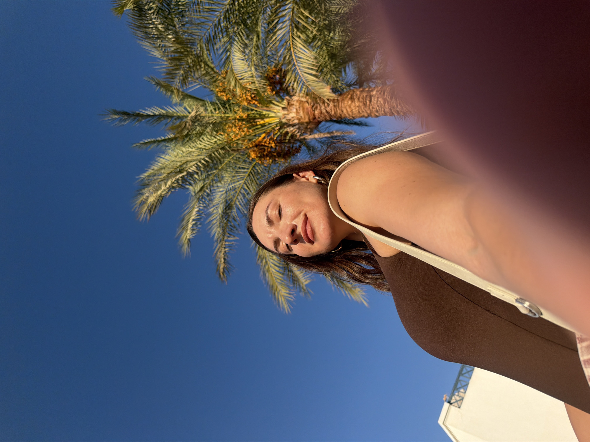 In Sharm El Sheikh, Egypt, a woman is captured in a low-angle selfie. She is wearing a brown outfit and a cream-colored bag slung over her shoulder. Her eyes are closed, and her face is tilted upwards, basking in the sunlight. A palm tree with ripe dates stands tall behind her, its fronds reaching towards the clear blue sky. A white building with a balcony is partially visible on the left side of the frame. The sun casts a warm glow on the scene, highlighting the textures of the palm tree and the woman's skin.