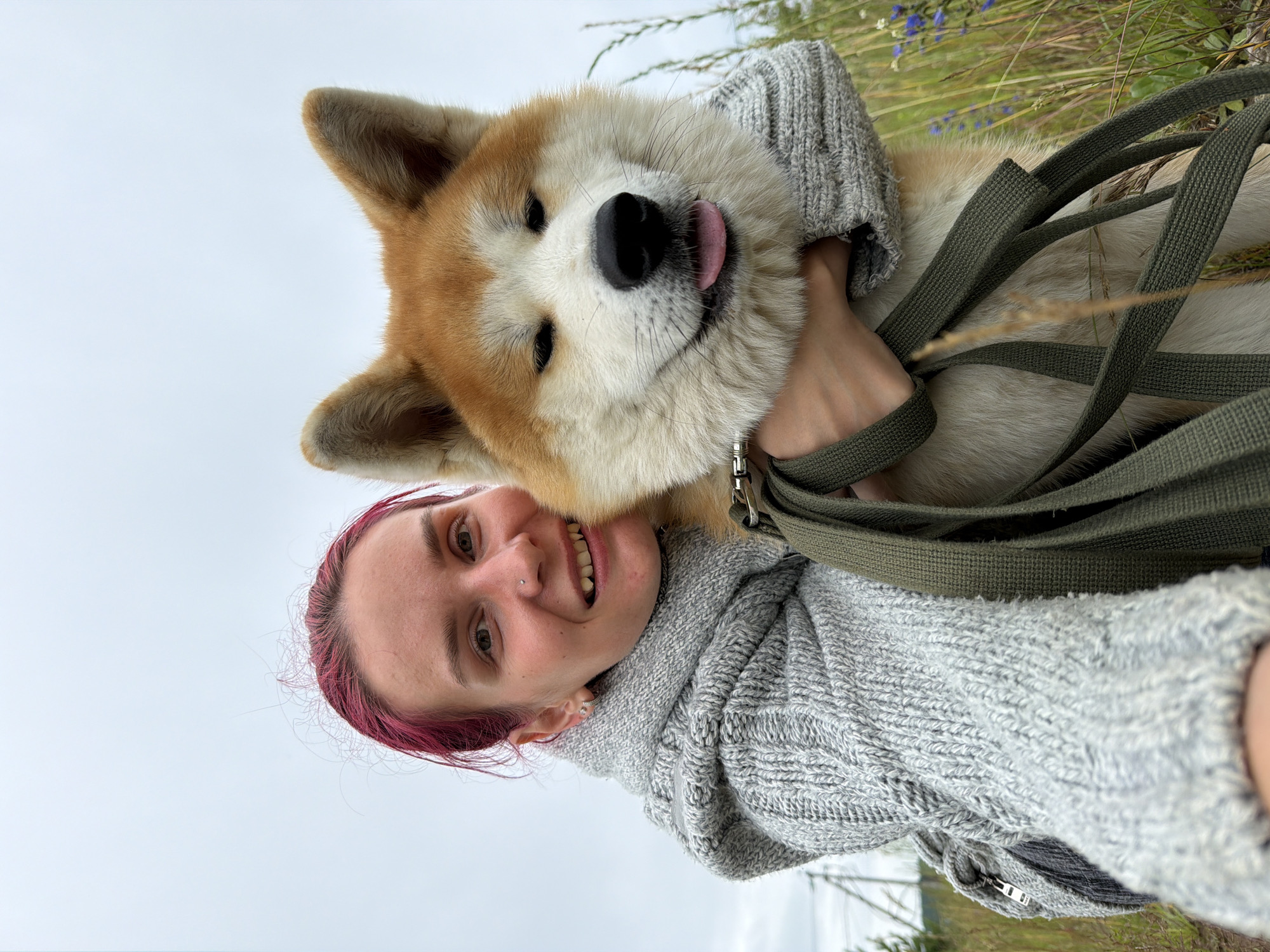 This media file features a close-up, vertically oriented selfie of a person and a dog. The person, positioned in the lower part of the frame, has bright pink-dyed hair and is wearing a grey knitted sweater. They are smiling with their mouth open, revealing their teeth, and have a nose ring and an earring. The dog, a large breed with reddish-brown and white fur, occupies the upper portion of the image. Its head is turned towards the camera, with its tongue playfully sticking out. The dog is wearing a grey knitted garment, possibly a sweater or part of the person's clothing, and a dark green leash is visible, draped across both the dog and the person.
The scene appears to be outdoors, with a blurry background suggesting a natural setting with tall grass and some wildflowers, possibly a field or meadow. The sky is overcast, indicating a cloudy or diffused daylight, likely late afternoon or early morning given the soft lighting. The overall mood is joyful and affectionate, captured in the smiles of both the person and the dog's playful expression. There is no visible text in the media file. The location context is Chaikovsky, Russia.