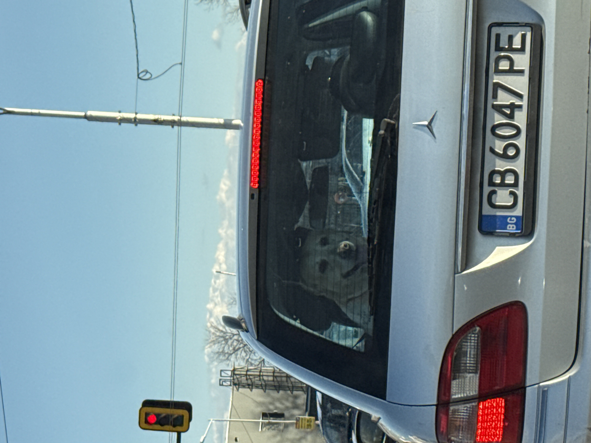 A silver Mercedes-Benz car is stopped at a traffic light. The license plate reads "CB 6047 PE" with a "BG" identifier, indicating it is registered in Bulgaria. The traffic light above the car is red. A light-colored dog is visible in the back of the car. A utility pole is to the left of the car. The sky is blue with some light clouds. Based on the license plate, the car is from Sofia, Bulgaria.