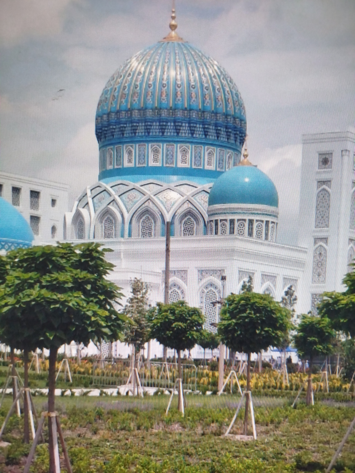The image shows a large, ornate mosque with a prominent blue dome located in Боровково, Russia. The architecture features intricate patterns and designs. The mosque is surrounded by a landscaped area with young trees supported by wooden structures. The sky is overcast. There are no people visible in the image.