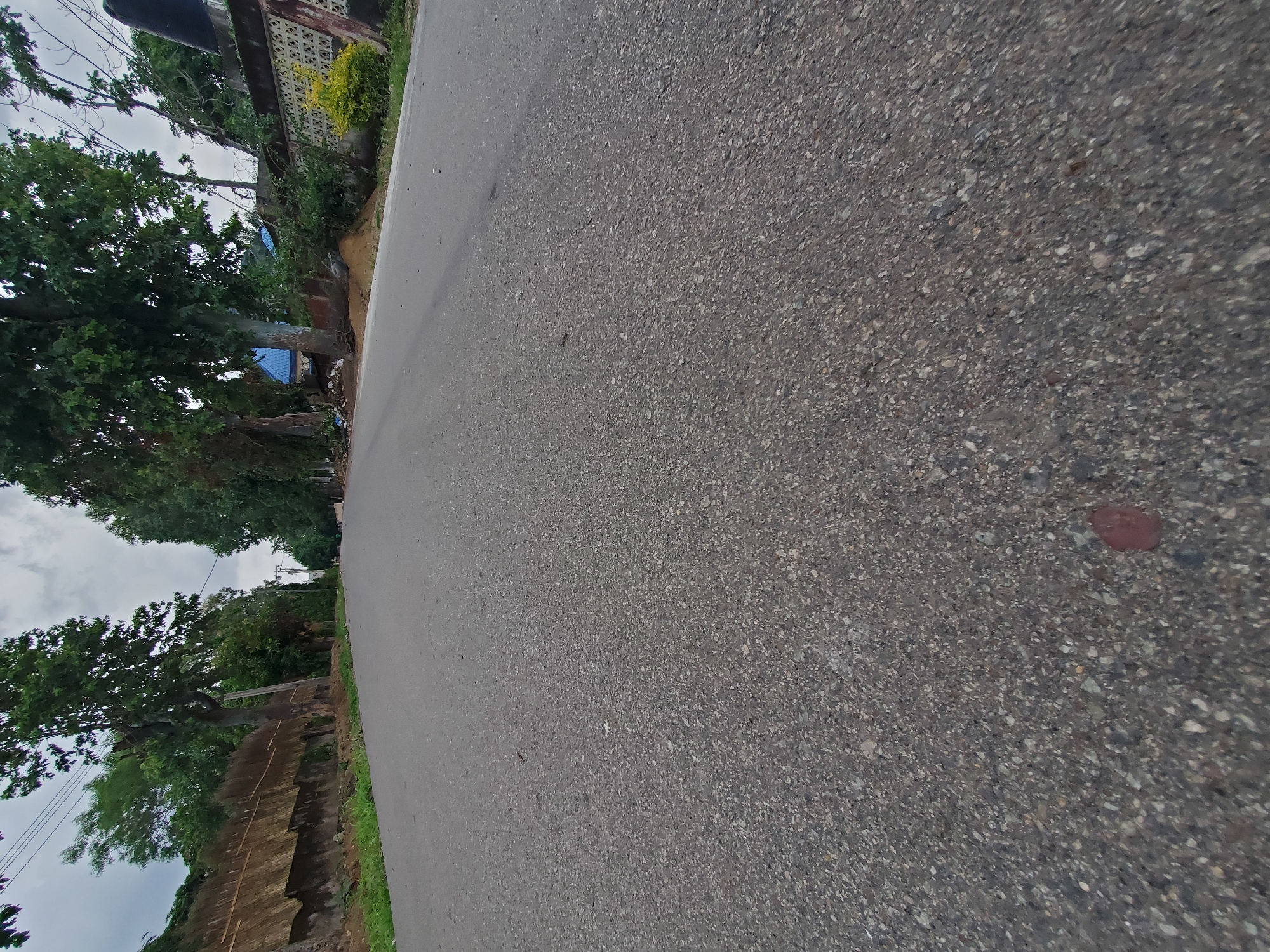The image depicts a low-angle view of an asphalt road in Jos, Nigeria. The road appears to be a residential or local street, with trees lining both sides. On the left side of the road, there is a textured wall, possibly made of concrete blocks or stones, covered with some material that looks like straw or reeds. Beyond the wall, more trees and foliage are visible. On the right side of the road, a decorative concrete fence with a pattern of circles can be seen. A blue-roofed building is partially visible behind the trees and fence. Power lines are suspended overhead, crossing the sky which is overcast. The road surface itself is grey asphalt with visible aggregate. A small, reddish-brown object, possibly a piece of debris or a rock, is present on the road in the foreground. The overall scene suggests a quiet, possibly somewhat unkempt, urban or suburban environment in Jos.