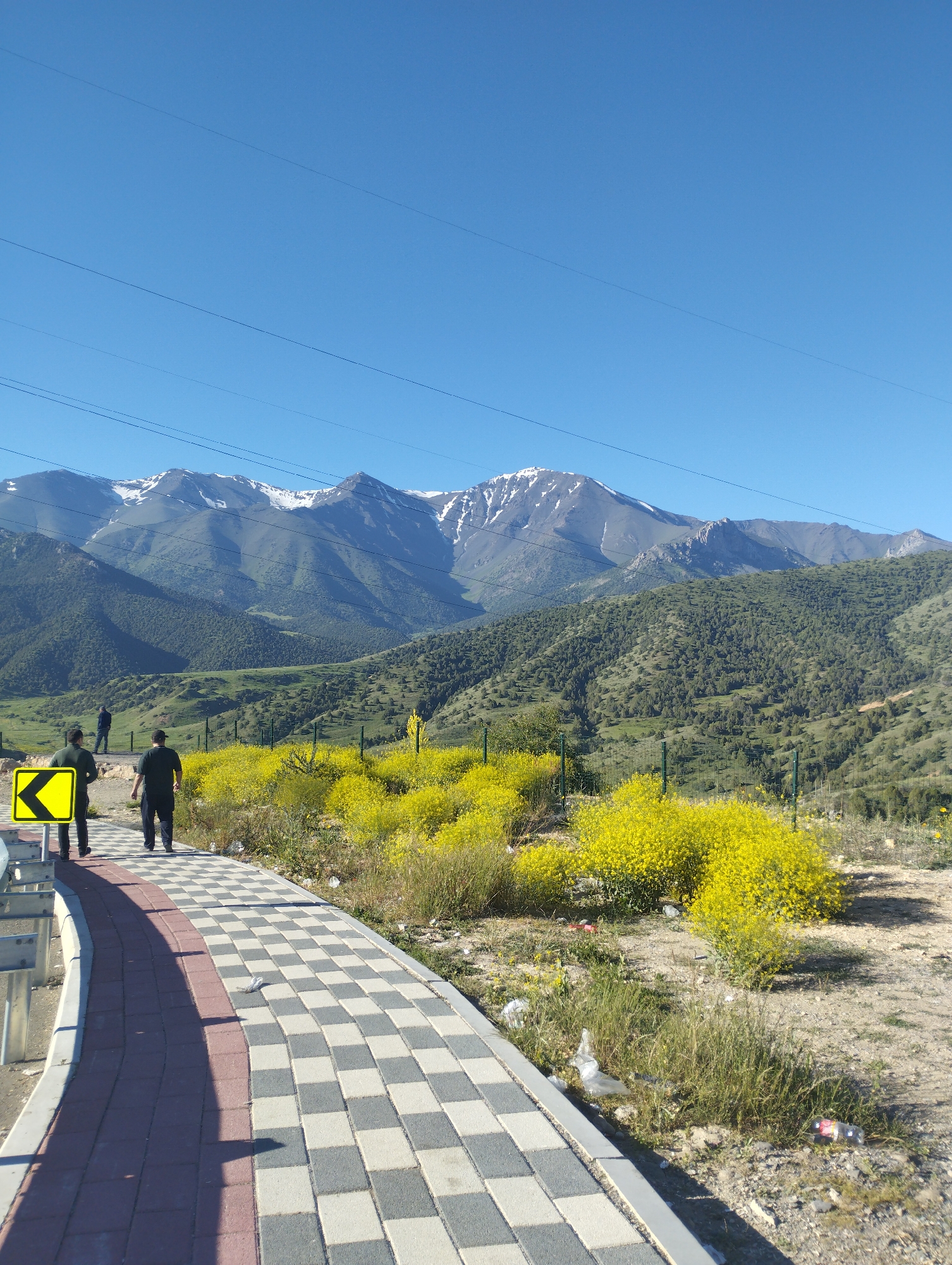 In Dardar, Uzbekistan, a paved walkway with a checkered pattern of gray and white tiles runs alongside a road. Two individuals, likely male, are walking on the path, one wearing a dark green shirt and dark pants, the other in a dark shirt and dark pants. To their left, a bright yellow directional sign with a black arrow points left. Beyond the walkway, a vibrant expanse of yellow wildflowers blooms, bordered by a green chain-link fence. In the background, rolling green hills covered in trees ascend towards majestic mountains, some of which are capped with snow. Power lines stretch across the clear blue sky. The overall scene depicts a scenic natural landscape with a well-maintained pathway, suggesting a recreational or public area.