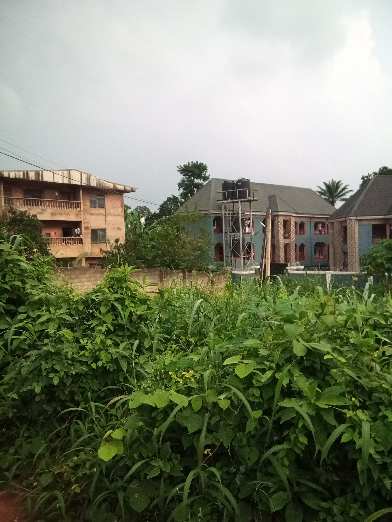 In Oko Town, Nigeria, an overcast sky looms above a scene dominated by lush, overgrown vegetation in the foreground. Behind the dense greenery, a two-story building with a light-brown facade and a balcony is visible on the left. Further to the right, a larger, blue-painted building with a grey roof stands, featuring a metal structure supporting two large water tanks. The architecture suggests a residential or commercial purpose. The presence of power lines indicates an urban or semi-urban setting. The overall impression is one of a slightly unkempt but inhabited environment.