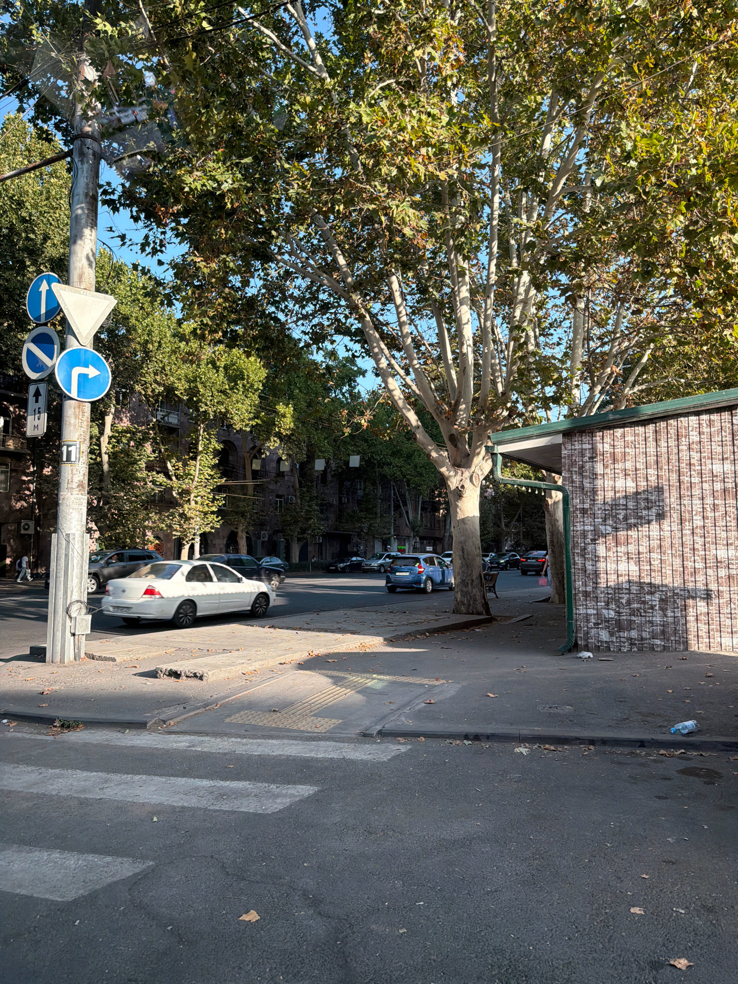 The image depicts a street scene in Yerevan, Armenia, under a clear blue sky. A large tree with light-colored bark and green foliage dominates the foreground, casting shadows on the sidewalk. To the left, a utility pole displays several traffic signs, including a blue circular sign with a white arrow pointing upwards, a white triangular sign with a red border, and a blue circular sign with a white right-facing arrow. Adjacent to the pole, a white sedan is parked on the side of the road. In the middle ground, more trees line the street, with apartment buildings visible behind them. A blue hatchback car is seen driving down the street. To the right, a small structure with a green roof and a brick-patterned facade stands, with shadows of tree branches visible on its wall. The sidewalk is paved, and fallen leaves are scattered across it and the road. A pedestrian crossing is marked on the asphalt in the lower part of the image. A plastic water bottle lies on the ground near the curb.