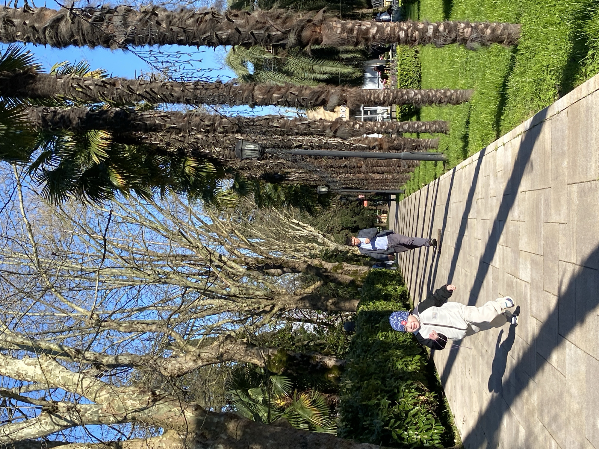The image shows a concrete pedestrian walkway in Sochi, Russia. It is lined on one side with trees bare of leaves and lush green foliage. A young child wearing a blue patterned hat and white jumpsuit is walking on the walkway. Further down the path, an adult male is walking away from the camera. On the opposite side of the walkway, there are tall palm trees, street lights, and a grassy area with buildings visible in the background. The sky is blue.