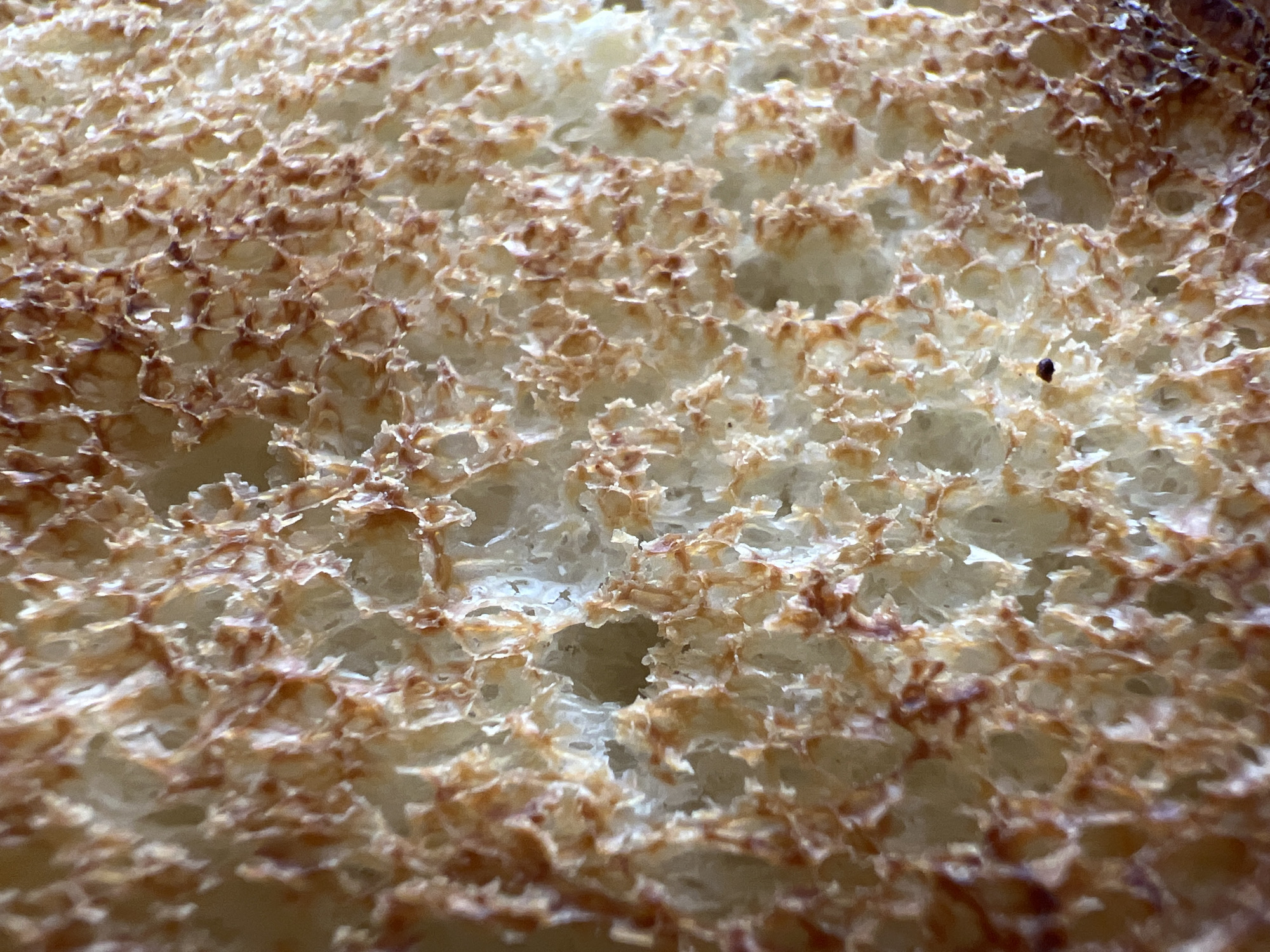 The image shows a close-up of toasted bread. The surface is characterized by a network of small, irregularly shaped air pockets and crevices. The edges of the surface are browned, while the deeper areas appear lighter in color. There is a small, dark speck on the bread surface. The location in the city of Krasnodar, Russia is not discernible from the image.