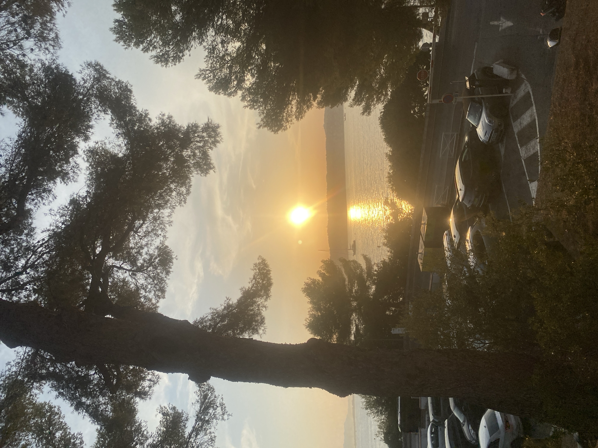A picturesque view of the sea at sunset in Antibes, France, is captured. In the foreground, a large, textured tree trunk dominates the left side of the frame, with its branches extending upwards and silhouetted against the sky. To the right of the tree, a calm body of water reflects the golden hues of the setting sun, creating a shimmering path across its surface. A sailboat is visible in the distance, adding a touch of maritime charm. The middle ground features a shoreline with dense green foliage and trees. Beyond the water, a hazy silhouette of land is visible, suggesting the coastline of Antibes. In the lower right quadrant, a parking lot is occupied by several parked cars, including a silver Mini Cooper convertible and a dark-colored SUV. The parking lot appears to be adjacent to a road, with a stop sign and a small yellow structure visible. The overall scene conveys a tranquil and scenic coastal atmosphere, characteristic of the French Riviera.