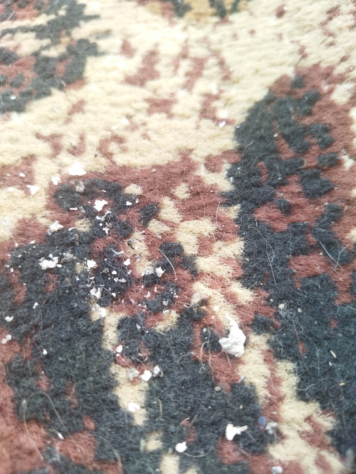 The image shows a close-up view of a carpet with a pattern consisting of beige, brown, and dark gray areas. There are white specks and clumps scattered on the carpet fibers, appearing as debris or residue. The details about the city of Kramatorsk, Ukraine is not something discernible from the image alone.