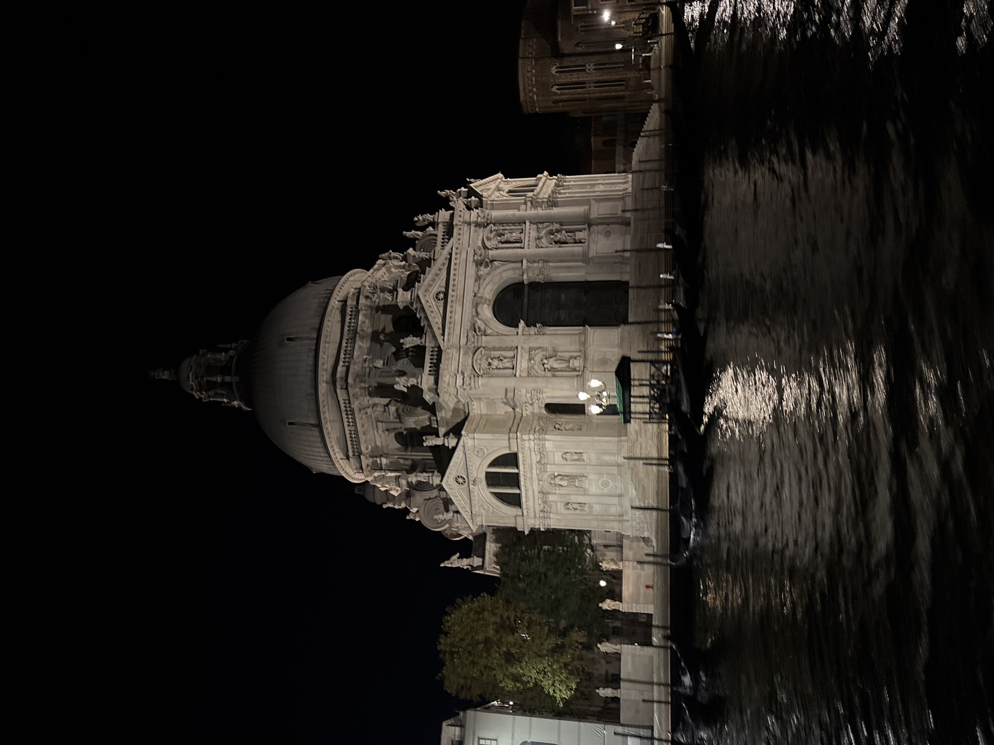 A night-time, eye-level, full shot shows the Basilica di Santa Maria della Salute in Venice, Italy, illuminated against a dark sky. The prominent domed structure, made of white stone, is the central subject. Its facade is ornate with statues and architectural details. A canal runs in front of the basilica, with several gondolas moored along the edge. The water reflects the lights of the building and the sky, creating a shimmering effect. To the left of the basilica, a tree with green foliage is visible, and a portion of a lighter-colored building can be seen. To the right, another, darker brick building with arched windows is partially in frame. The scene is devoid of any visible people. The overall impression is one of grandeur and nighttime tranquility.