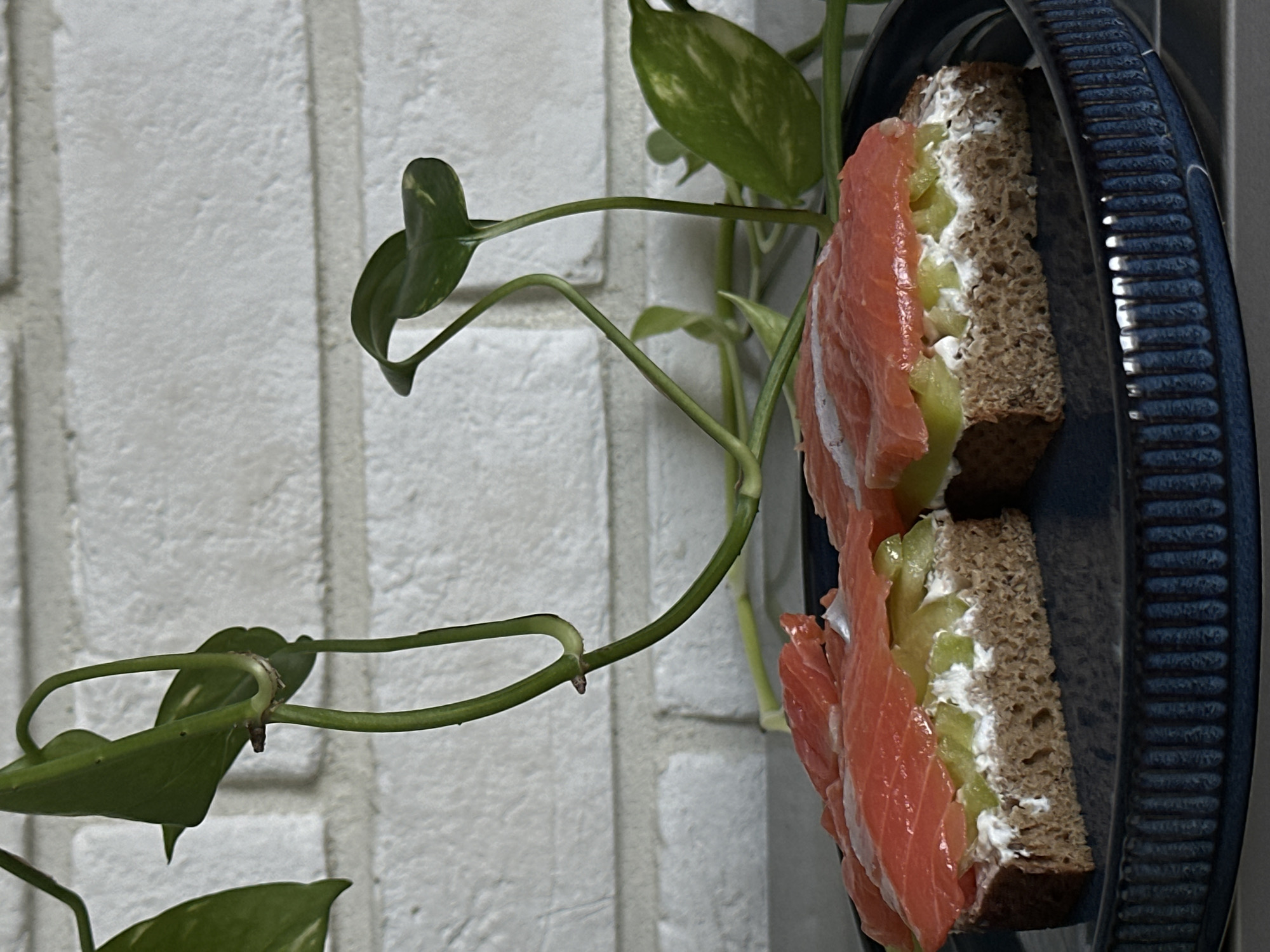 Two open-faced sandwiches are presented on a dark blue ribbed plate. Each sandwich consists of a slice of dark bread topped with a white creamy spread, chopped green vegetables, and thin slices of salmon. The sandwiches are placed next to each other, slightly angled. Behind the plate, a white brick wall serves as the background. Green leafy plants with long stems drape in front of the wall, obscuring parts of it and casting shadows. The lighting suggests an indoor setting, possibly a kitchen or dining area, with natural light coming from the side. The image appears to be a close-up shot, focusing on the food and the immediate surroundings. There are no people visible in the image. The scene does not provide any specific indicators related to the city of Khimki, Russia.