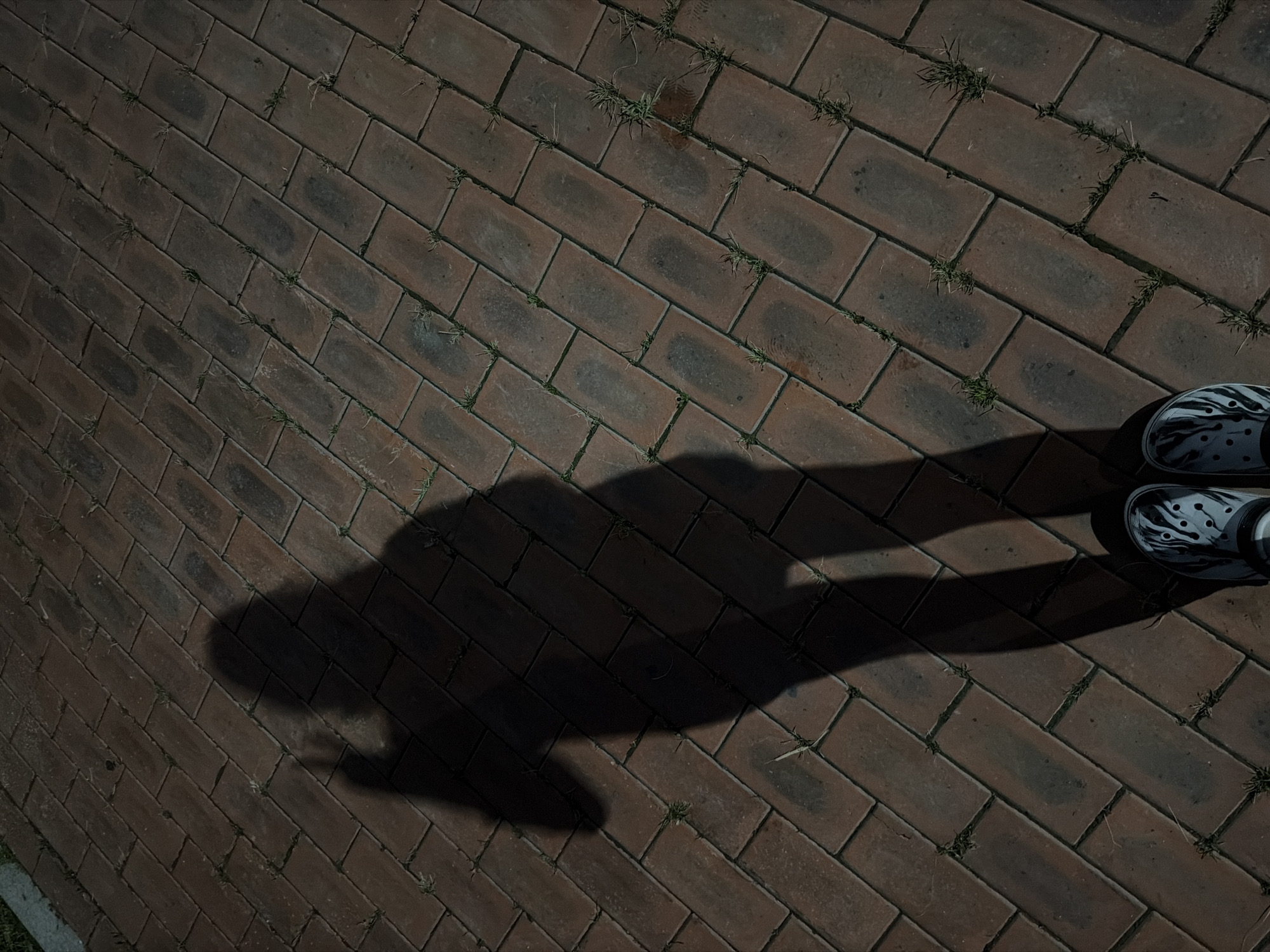 An overhead shot shows the shadow of a person standing on a brick-paved pathway. The shadow, cast from the left, is elongated and shows the person from the waist down, including their feet wearing black and white patterned clogs. The shadow figure's right arm is raised, with the index finger pointing upwards. The pathway is constructed from reddish-brown rectangular bricks laid in a herringbone pattern, with small tufts of grass growing in the gaps between them. The scene is lit by sunlight, creating a strong contrast between the illuminated bricks and the dark shadow. The image was captured in Dongducheon-si, South Korea.