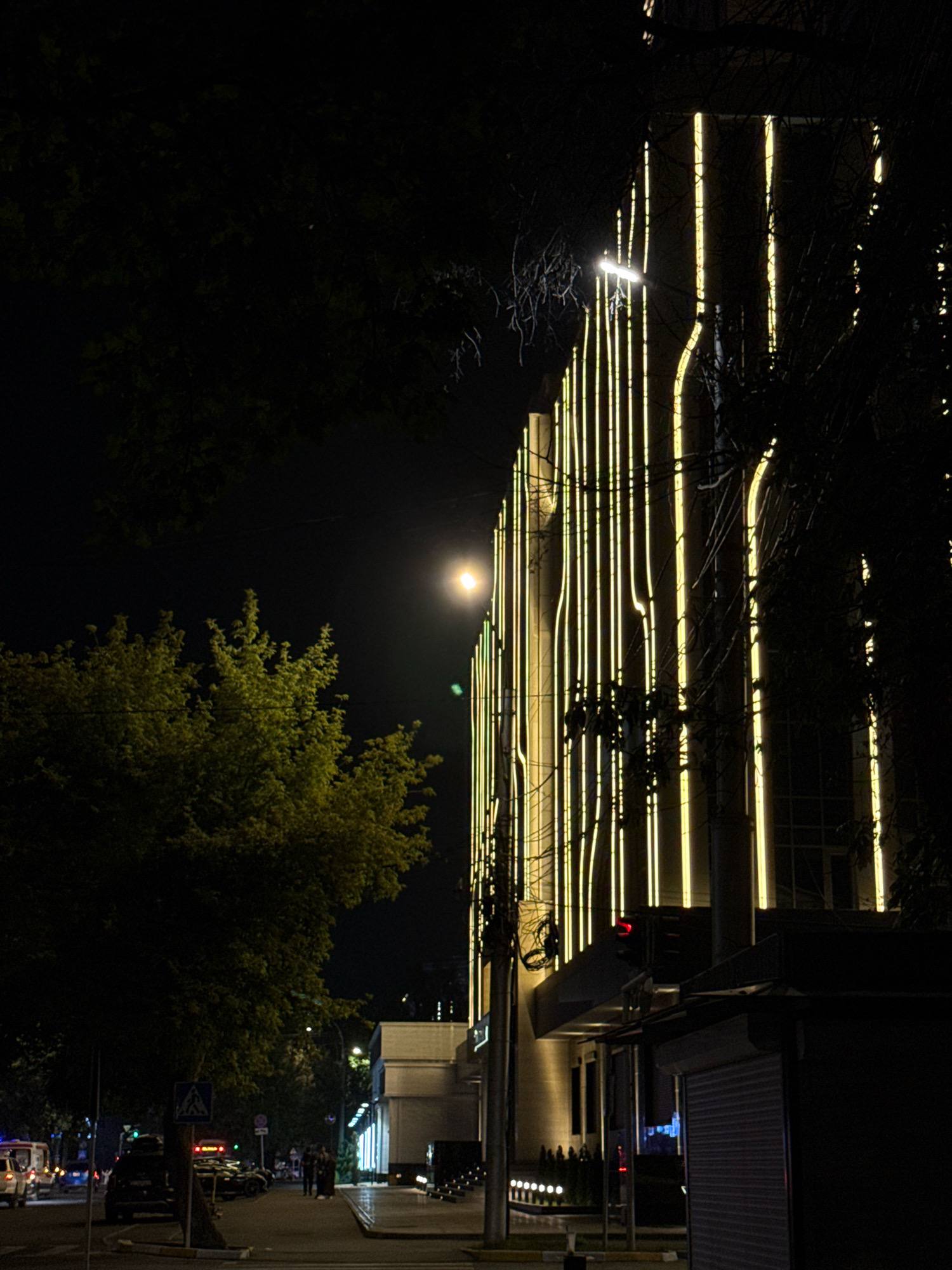 In Bishkek City, Kyrgyzstan, at nighttime, a city street is illuminated by streetlights and the glowing facade of a modern building. The building, on the right side of the image, is adorned with vertical yellow lights that create a striking visual effect against the dark sky. Trees with lush green foliage partially obscure the view of the building, their branches silhouetted by the artificial light.
The street itself is paved and appears to be an urban thoroughfare. Several cars are visible, parked along the side of the road and in motion. Some vehicles are white, suggesting they might be service vehicles like ambulances or police cars, indicated by flashing lights on one of them. A pedestrian crossing sign is prominent on the left side of the street.
A small group of people, three individuals, are standing together on the sidewalk near the building. They appear to be conversing or waiting. The overall atmosphere is that of a quiet, yet active, urban scene at night, with the modern architecture and street activity creating a sense of dynamic urban life. The moon is visible in the sky, adding a natural light source to the scene.