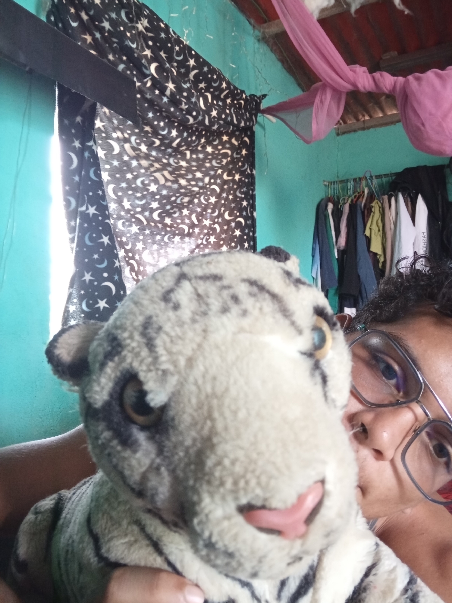 A slightly blurred indoor photograph captures a close-up of a person interacting with a plush toy in Altagracia, Venezuela.
In the foreground and center, a white plush toy, resembling a tiger with black stripes, yellow-brown eyes, and a pink snout, is prominently displayed. The toy's head and upper torso are visible, held by an unseen hand.
To the right, partially visible and blurred, is the face of an individual. They have dark, curly hair, wear dark-rimmed glasses, and their left eye, with a dark iris, is visible, directed towards the camera. Their skin tone is medium-dark.
The background reveals a modest residential interior. On the left, strong sunlight emanates from a window opening, creating a bright glare. A dark fabric curtain with a pattern of white crescent moons and stars hangs from a dark rod beside the window. The wall is painted a light teal or blue-green.
On the right side of the background, a metal clothing rack is visible, supporting numerous garments, including shirts and jackets, in various colors such as blue, green, brown, and white.
Above the curtain and clothing rack, the ceiling structure is exposed, featuring visible wooden beams and sections of what appears to be a reddish, corrugated metal roof. A light pink, sheer fabric, possibly a mosquito net or decorative draping, is tied and suspended from the ceiling beams.