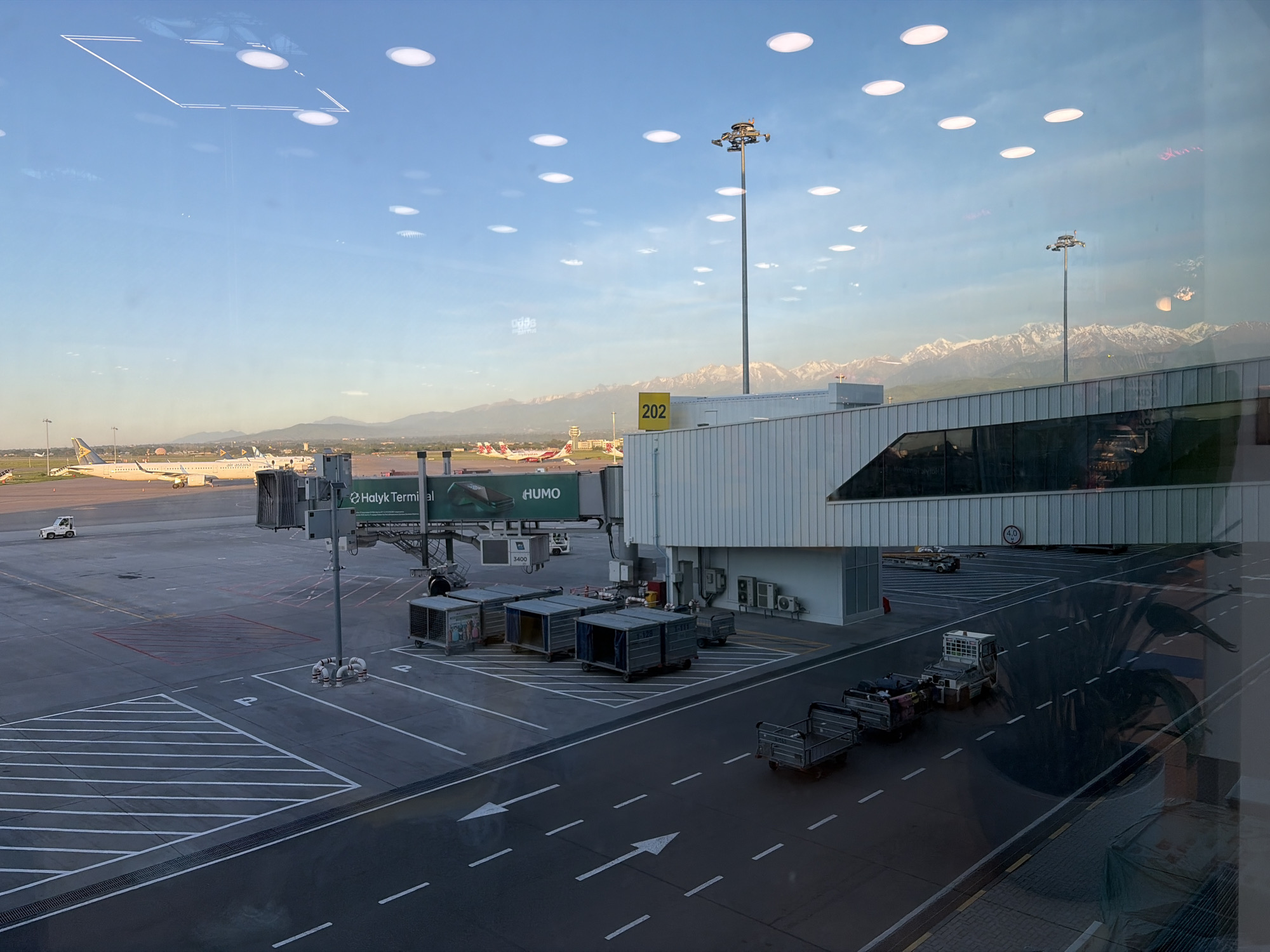 The image shows an airport tarmac in Almaty, Kazakhstan. It is taken from inside a terminal building, looking out through a window. The sky is light blue with some clouds and the ceiling of the terminal is visible through the reflection on the window. In the background, snow-capped mountains are visible. On the tarmac, there are several airplanes parked at gates. A jet bridge with "Halyk Terminal" and "HUMO" branding is visible. Ground service equipment, including cargo containers and a vehicle pulling trailers, are on the ground. The airport signage is visible, including "202" on the terminal building. The ground is marked with painted directional arrows and parking lines.