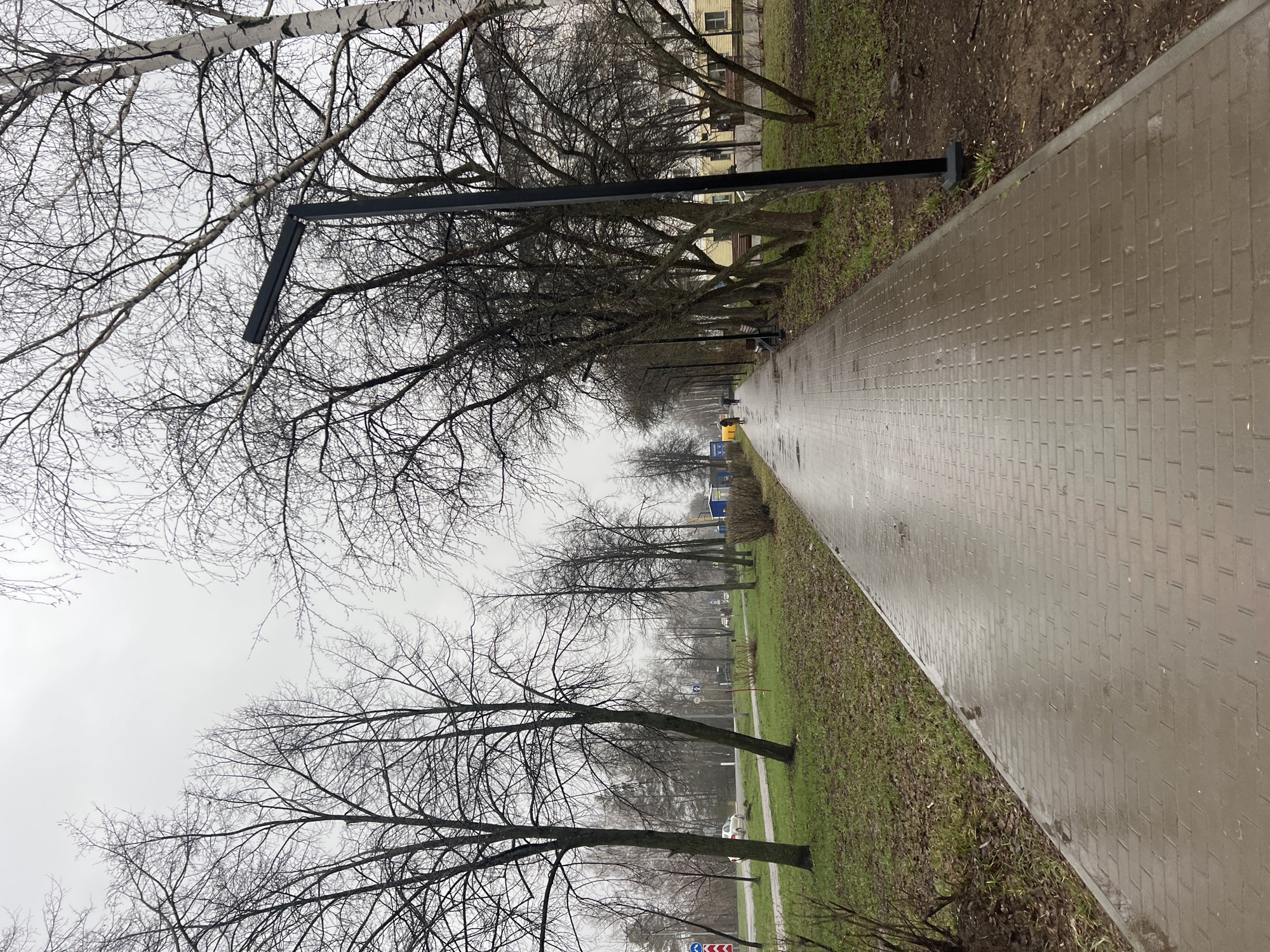 The image displays an outdoor scene on an overcast day, likely during late autumn, winter, or early spring. A long, wet, light grey paved pathway, constructed from rectangular bricks, stretches from the foreground into the distance on the right side of the frame. The path appears damp, suggesting recent rain or high humidity.
To the left of the pathway, a strip of sparse, somewhat muddy grass is dotted with numerous bare deciduous trees. A distinctive birch tree with white bark and intricate, leafless branches is prominent in the upper left foreground, silhouetted against a uniformly grey, cloudy sky. Along the path, several modern black lampposts with horizontal light fixtures are installed, receding into the distance.
In the mid-ground, a few small figures of people are visible walking along the path, their activity being a leisurely stroll. Further back, on the right side, a row of light yellow buildings with dark windows is partially visible behind the trees and grass. A bright yellow municipal container or bin stands near the path in the distance, with the partial text "KUPC" visible on its side. Other vehicles and indistinct road signs can be seen in the far background. A red arrow traffic sign is also visible towards the bottom left. The overall atmosphere is quiet and subdued, characteristic of a cool, damp day in an urban park or residential area. The scene's elements, including the architecture and signage style, align with the provided location context of Chaikovsky, Russia.