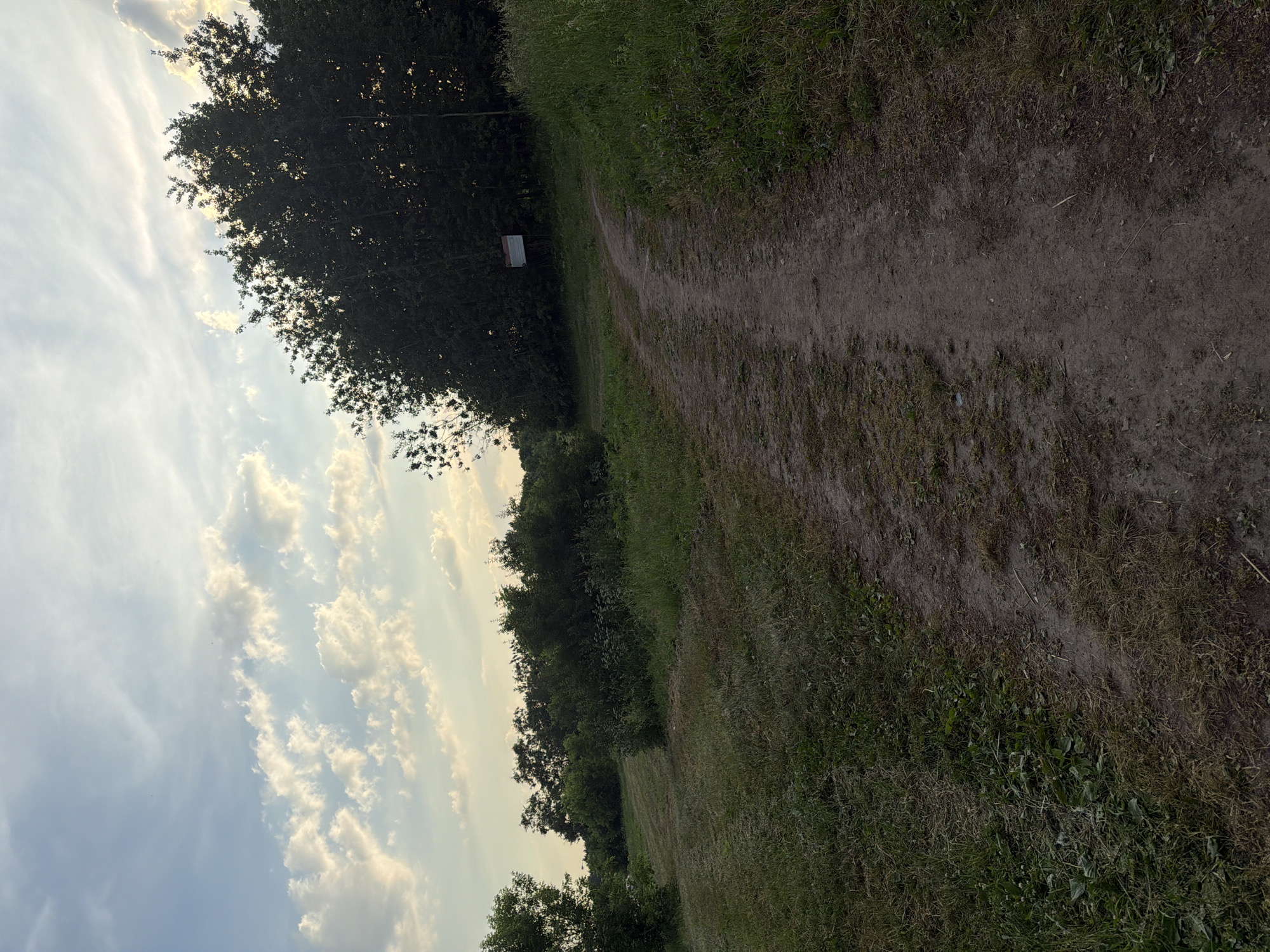 The image depicts an outdoor scene with a dirt path winding through a grassy area bordered by trees. The sky above is partly cloudy with sunlight filtering through, suggesting it is either early morning or late afternoon. On the right side of the path, a sign is visible on a tree amongst the dense foliage. The overall setting appears to be a park or natural reserve. No people or animals are present in the frame. The image does not contain any identifiable landmarks or features that would indicate it is located in Moscow, Russia.