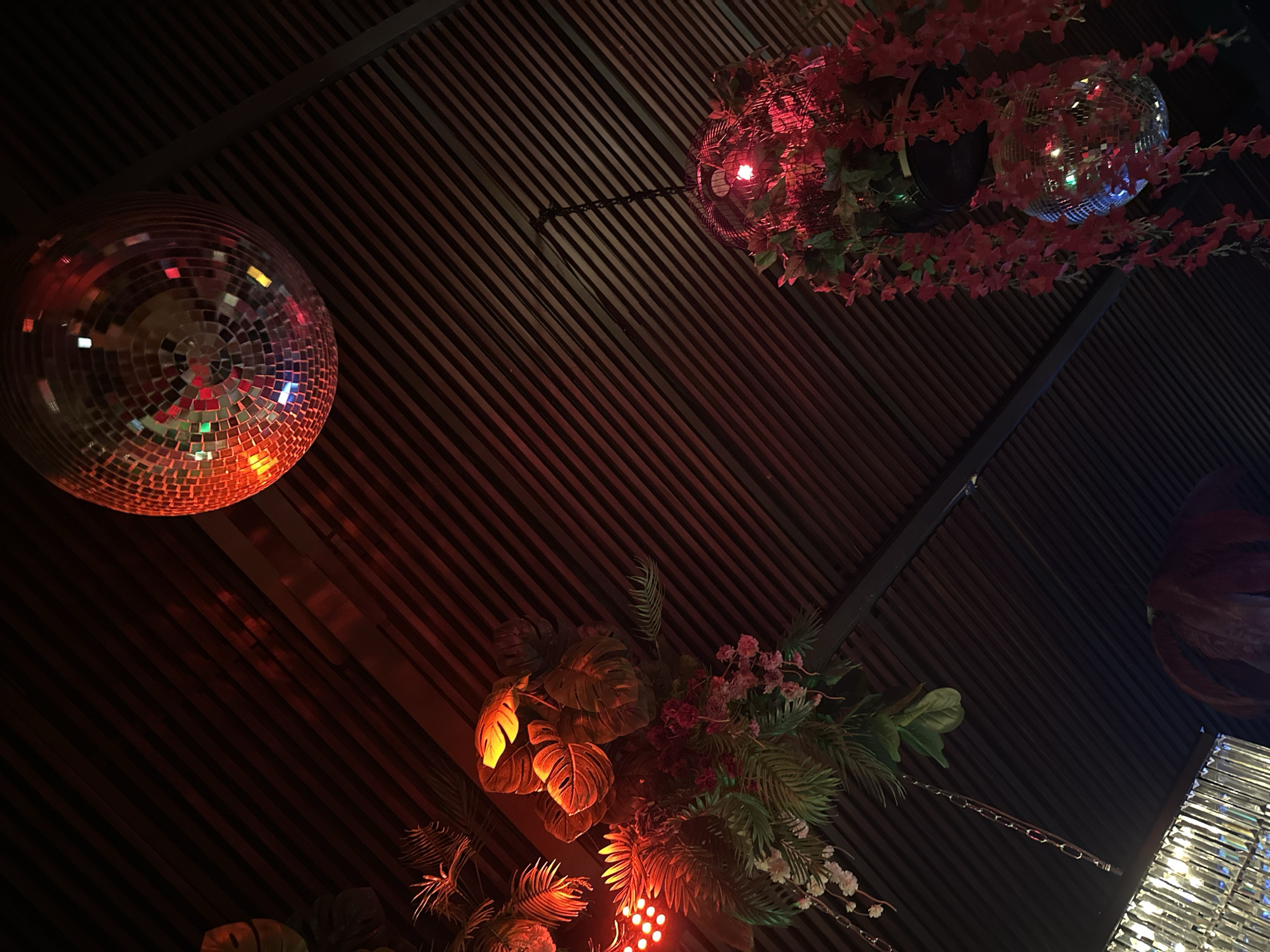The image shows a ceiling with wooden slats, illuminated by red lights and disco balls. There are hanging plants with red and green foliage, and some small pink flowers. Two disco balls are visible. One is larger and positioned towards the top right of the image, reflecting red and colorful lights. Another disco ball is hanging lower down, partially obscured by red hanging flowers and foliage. The scene appears to be in a dimly lit, indoor environment, possibly a bar or club. The context of North Kuta, Indonesia, suggests a tropical or beach-themed establishment, which aligns with the presence of lush foliage. No people are visible in the image.
