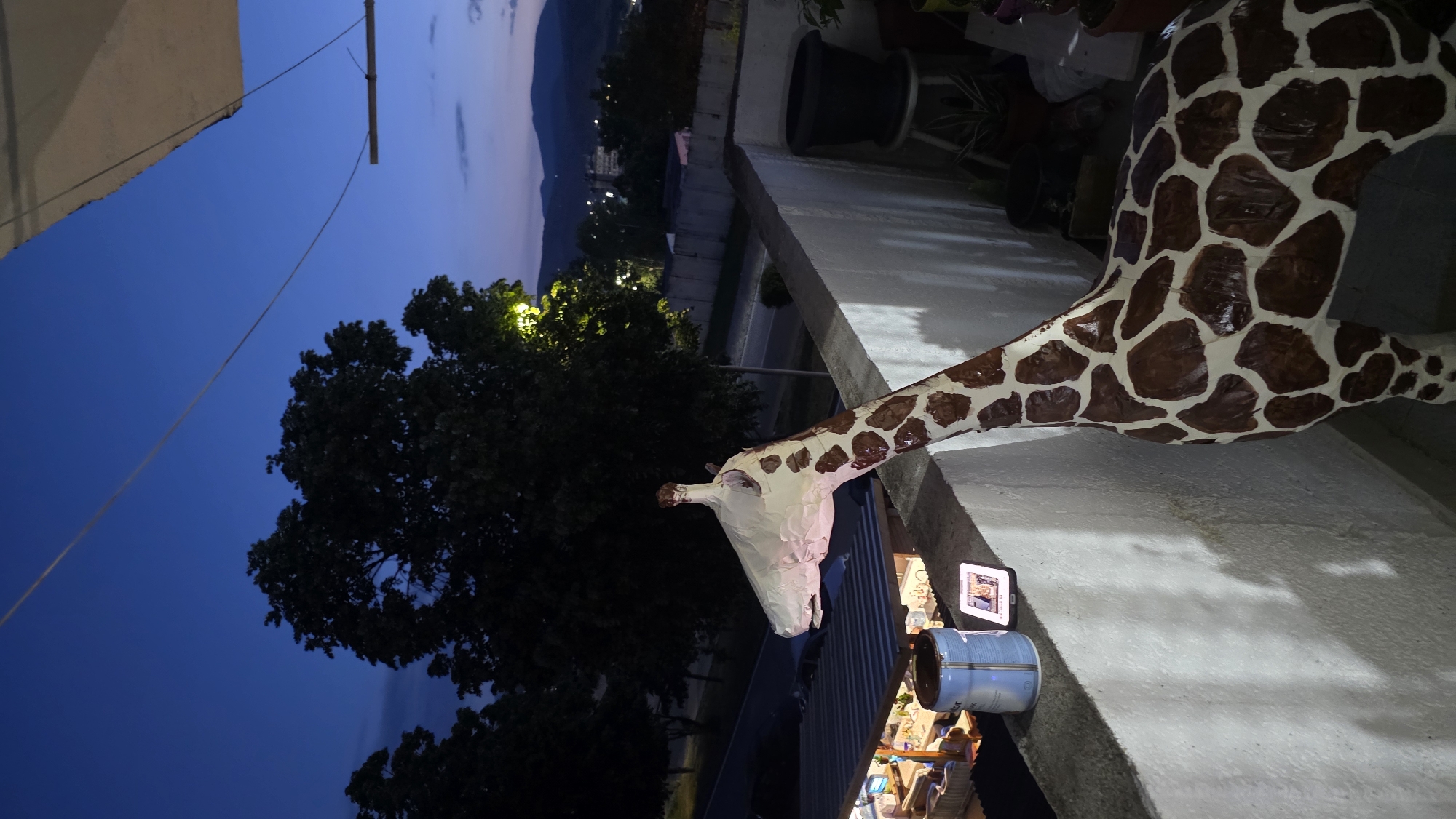 Captured from a high-angle perspective, the image shows a partially completed giraffe sculpture with its neck stretching from right to left. The head is still wrapped in white material, contrasting with the brown-and-white patterned body. The giraffe is situated on a white, flat surface.
Adjacent to the giraffe, there is a partially visible metal bucket, a mobile phone displaying an image, and other scattered items. In the background, a dense tree is illuminated by lights, with a cityscape beyond, potentially indicating the outskirts or the city center. The sky ranges from deep blue to lighter shades, suggesting either dusk or dawn.
Given the context of Blagoevgrad, Bulgaria, this image likely captures an outdoor scene, potentially a rooftop or balcony, where the giraffe sculpture is being created or stored. The cityscape background further points to an urban setting within Blagoevgrad.