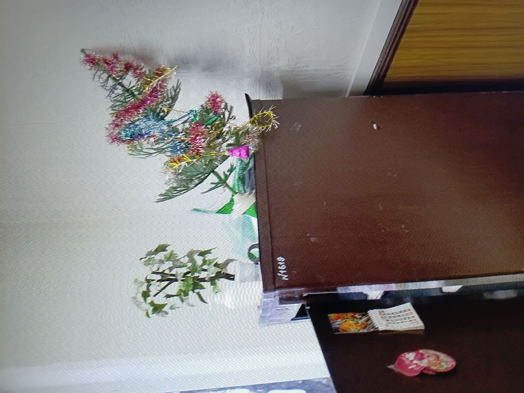 The image depicts an indoor scene, likely a domestic setting, as suggested by the presence of a refrigerator and decorative items. On top of the refrigerator, there are two potted plants, one a small tree with green leaves and the other a sprig of artificial festive greenery adorned with tinsel and small pink and blue ornaments. A portion of a calendar is visible on the left side of the refrigerator door, with what appears to be a pink, heart-shaped magnet or decoration nearby. The wall behind the refrigerator is white and textured. The refrigerator itself is dark brown. The overall impression is one of a lived-in space, possibly decorated for a holiday. The text "N1619" is visible on the upper front edge of the refrigerator. There is no visible indication of Tiraspol, Moldova in the image itself.