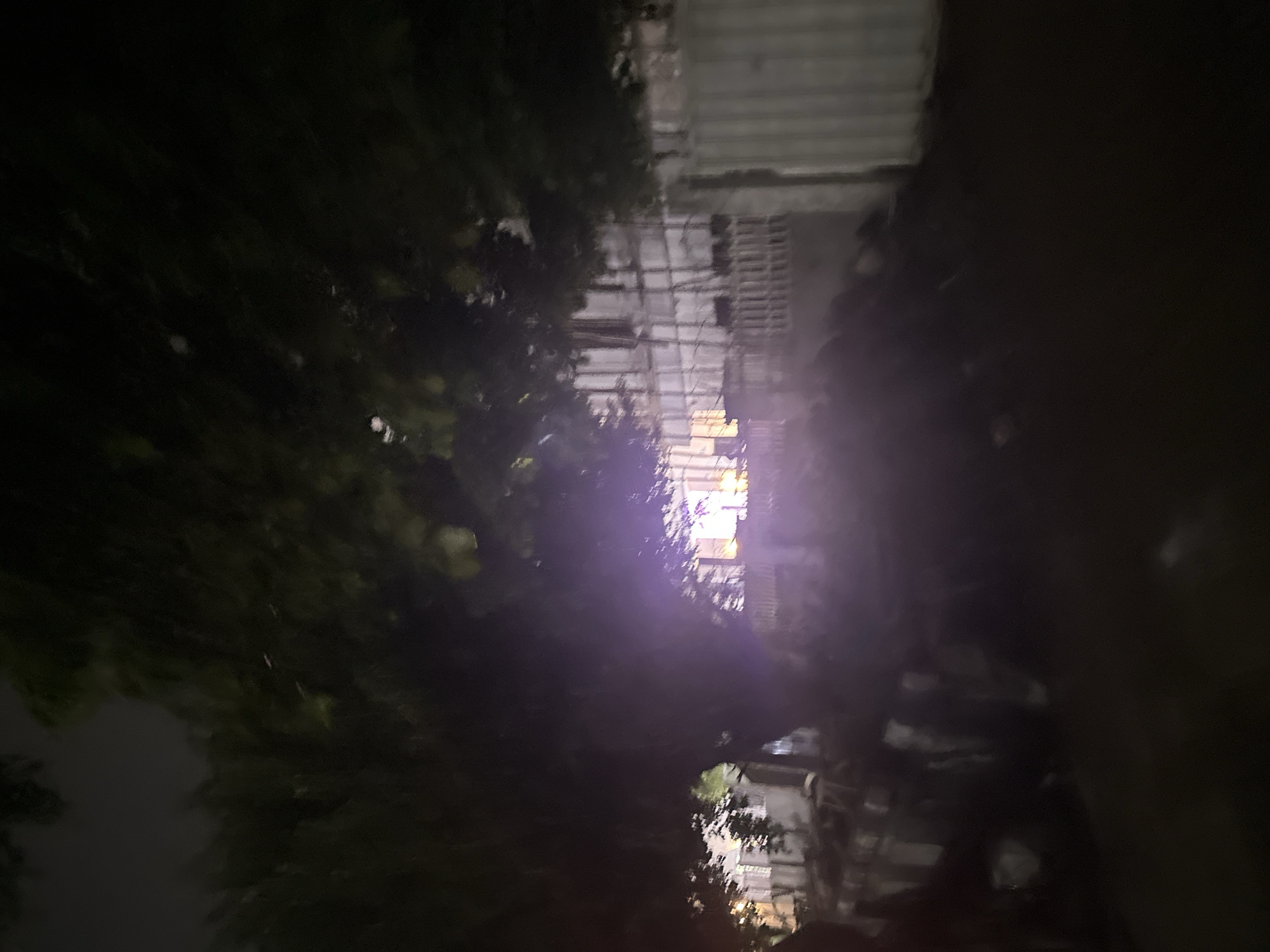 The image depicts a nighttime scene in a dimly lit environment, likely outdoors, with a large tree dominating the foreground. The tree's branches and dark foliage obscure much of the background. To the right of the tree, a building or structure is visible, illuminated by artificial lights which cast a purplish glow. This structure appears to have a somewhat rustic or unfinished facade, possibly constructed with corrugated metal or similar materials, and a fence or railing runs along its front.
The foreground is dark and somewhat blurry, with debris or objects scattered on the ground. The overall atmosphere is somber and indistinct due to the low light conditions and the blurriness of the image. There are no discernible people or specific activities taking place that can be identified. The setting appears to be an urban or semi-urban area given the presence of a building and a fence. Without more visual information, it is difficult to determine the exact nature of the building or its surroundings. The image lacks the clarity needed to pinpoint it to a specific location within Abuja, Nigeria, or to identify any precise details about the scene.