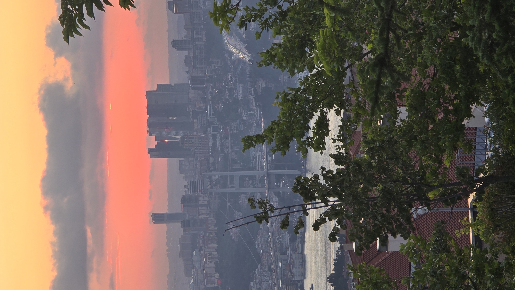 An elevated, vertical, medium shot captures a sunset over the Bosphorus strait in Üsküdar, Turkey. The sky is a vibrant gradient of orange and pink, with scattered clouds. In the midground, the Bosphorus Bridge spans the water, with traffic visible on its roadway. Numerous buildings, including skyscrapers, line the cityscape. The foreground is dominated by the branches and leaves of trees, obscuring parts of the view. The water of the strait is a muted grey, reflecting the sky. The scene is devoid of any visible people or specific actions.