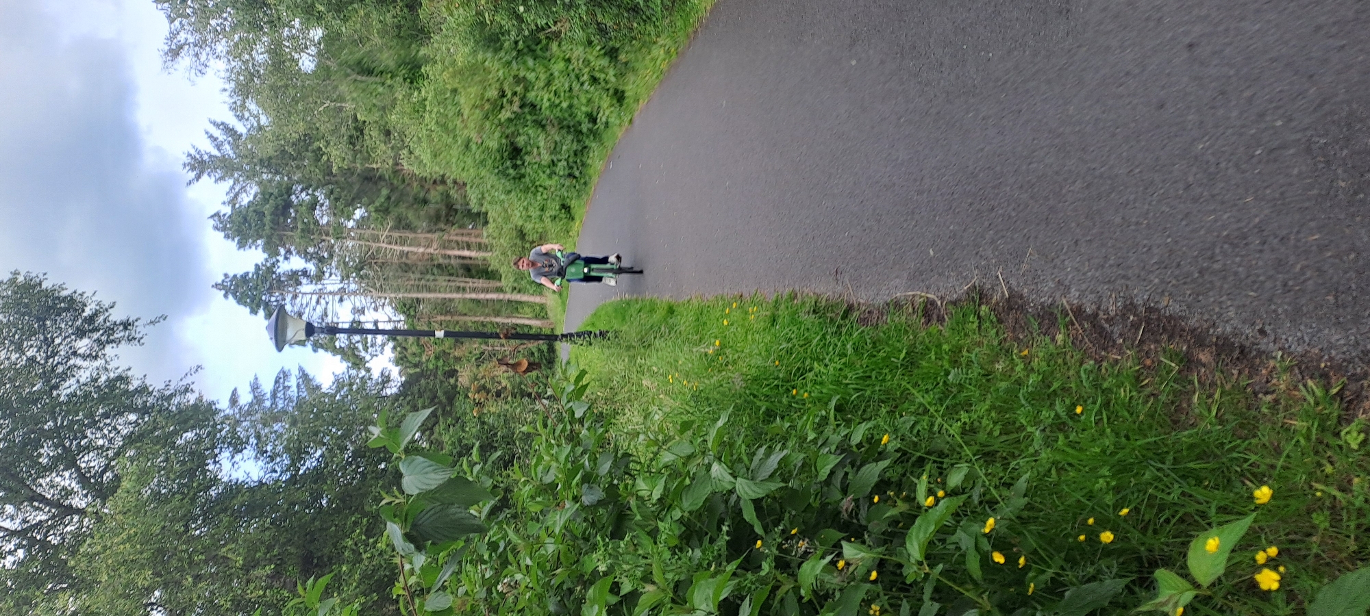 A person rides a bicycle on an asphalt path through a park with lush green trees and foliage. The path curves to the right, disappearing into the distance. A lamppost stands on the left side of the path. Small yellow flowers are scattered among the grass bordering the path. The sky above is cloudy. The scene is set in a park located in Castlebar, Ireland.