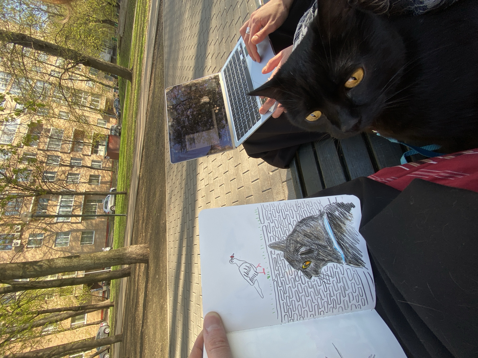 A black cat with yellow eyes is perched near a person using a laptop. The person is seated outdoors, possibly on a bench. A sketchbook with a drawing of a similar black cat and a pigeon is open nearby. The location appears to be Moscow, Russia, as suggested by the typical architecture of the building with balconies in the background. The setting is outdoors on a sunny day.