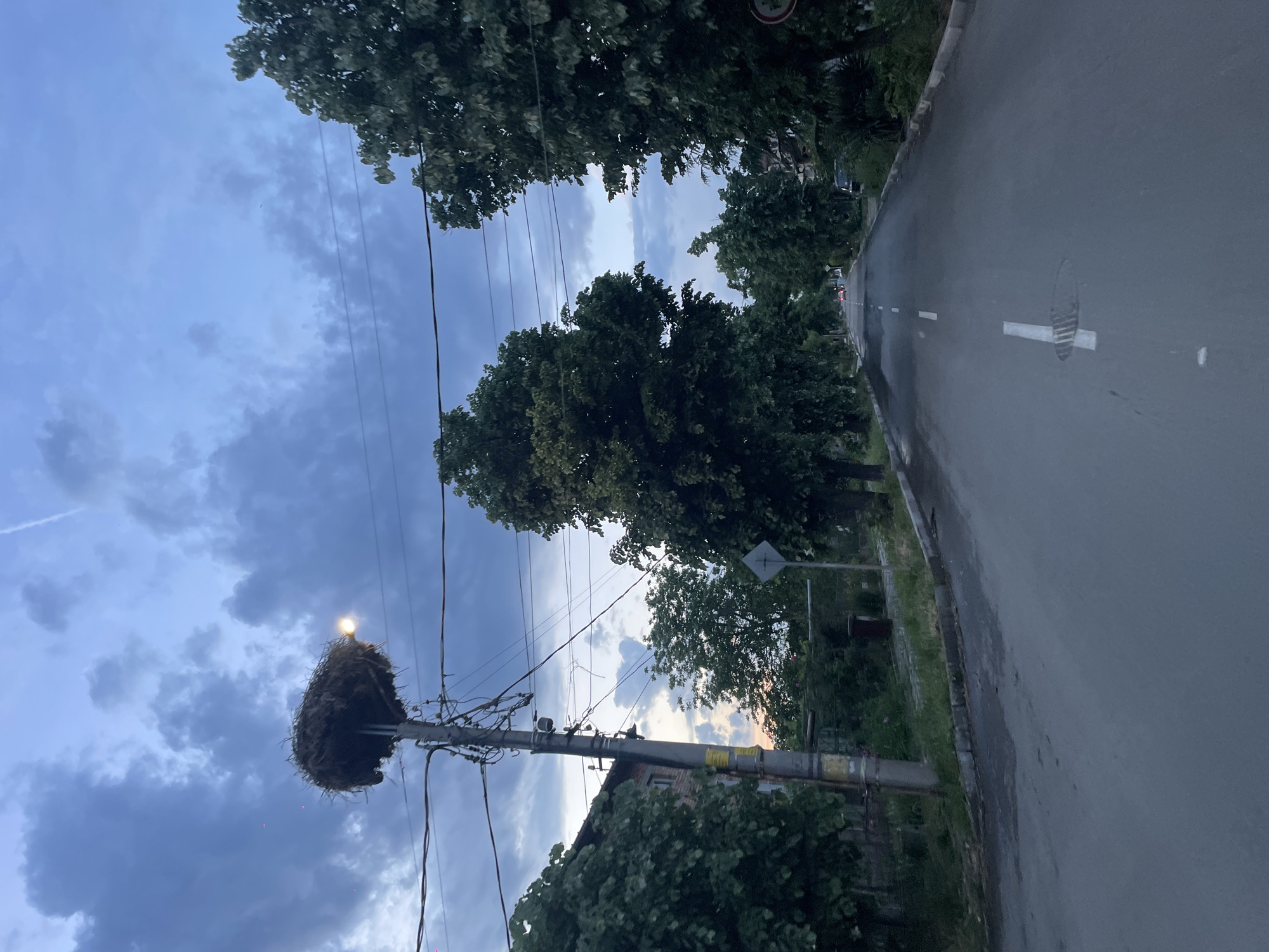 The image depicts a street scene, possibly in Burgas, Bulgaria, given the presence of a stork nest atop a utility pole. The pole, equipped with electrical wires and what appears to be a streetlight, is the primary focus. A large, untidy stork nest occupies the upper portion of the pole.
A paved road runs alongside the pole, featuring painted lane markings and possibly a manhole cover. Trees line both sides of the road, partially obscuring buildings and vegetation.
The sky is overcast with dark, cloudy skies and possibly a contrail from an aircraft is visible.