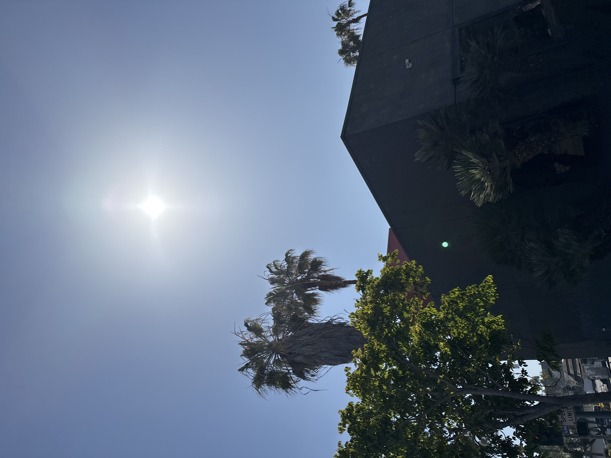 The image shows a view of a building, trees, and the sky in Santa Monica, California. The sun is high in the sky. A dark-colored building takes up a portion of the right side of the image, with greenery growing on its side. Palm trees and other trees are visible in the foreground. A street sign is visible in the bottom right corner.