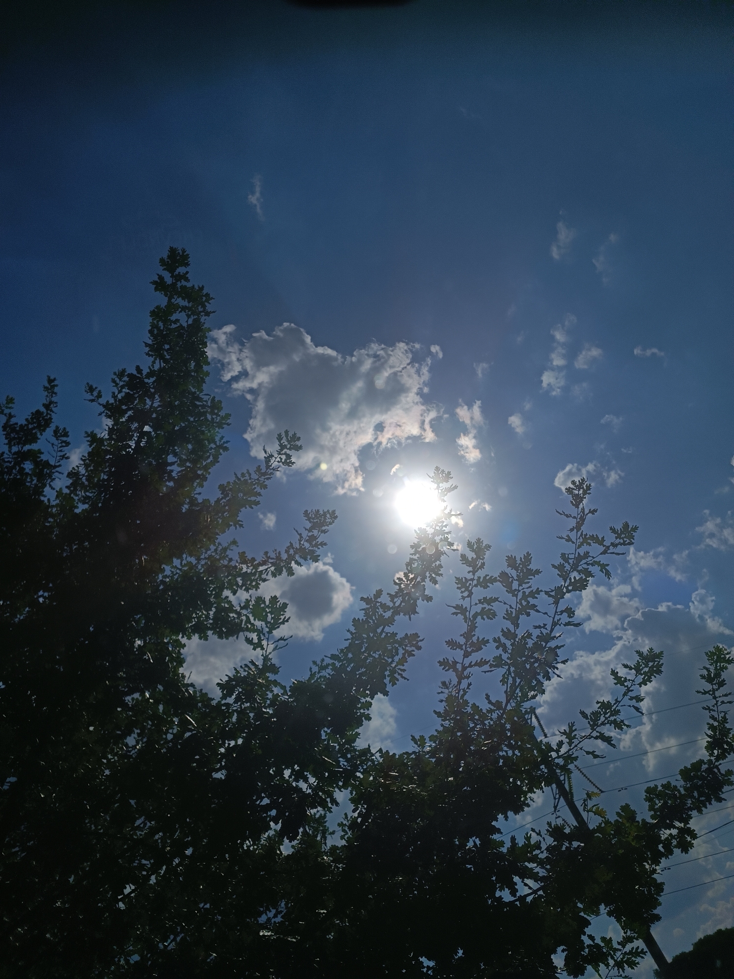The image shows a bright sun shining through the branches of a tree against a blue sky with scattered clouds. The tree's dark green foliage dominates the foreground, with its branches reaching upwards. The sun is positioned in the upper center of the frame, creating a lens flare and illuminating the sky. The scene suggests an outdoor environment, likely a park or street, in Zaporizhzhia, Ukraine, given the context. There are no people or specific city landmarks visible. The overall atmosphere is one of a clear, sunny day.