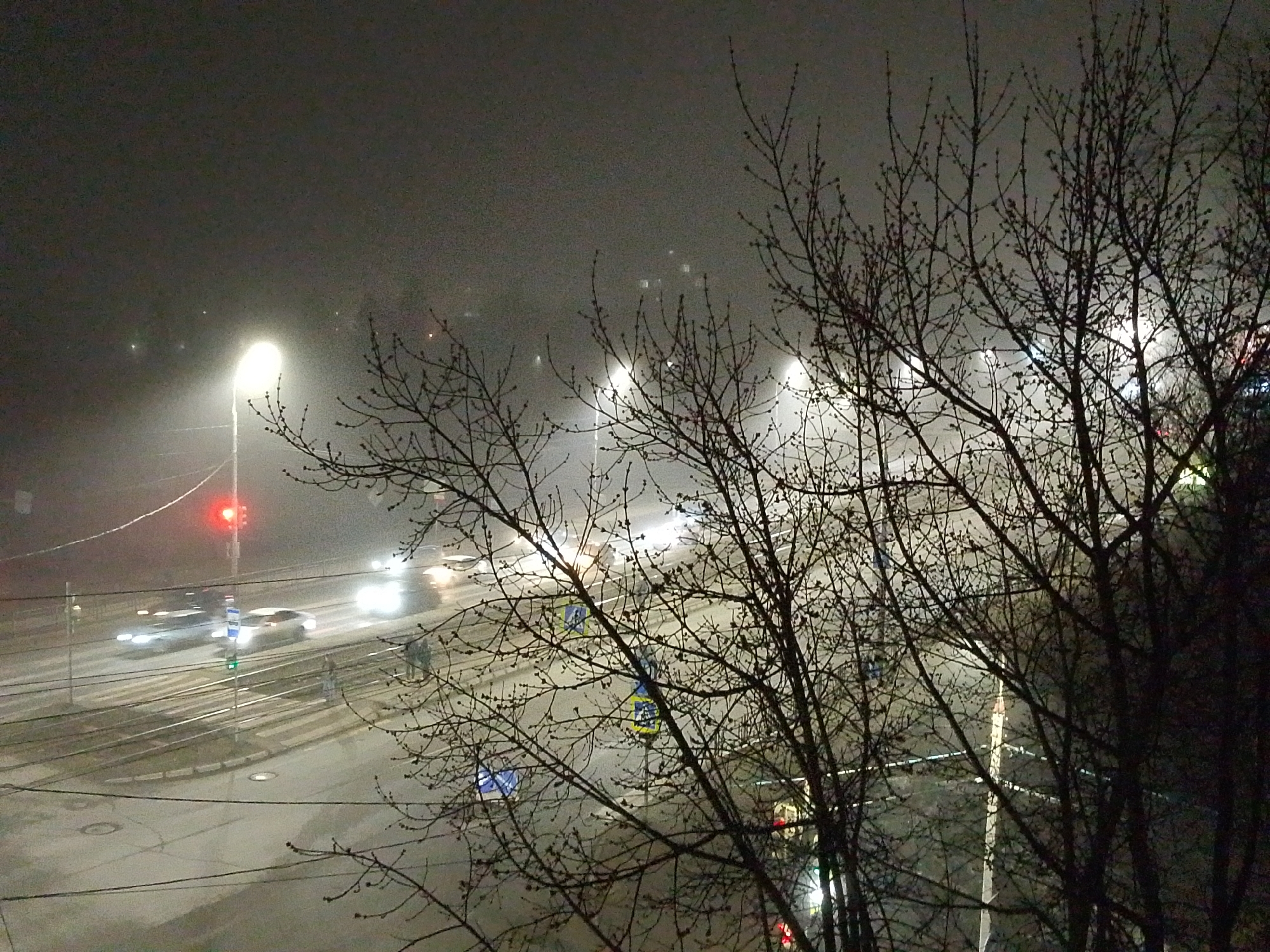 This nighttime image depicts a street scene in Izhevsk, Russia. The photograph is taken from an elevated position, likely a window, overlooking a street intersection with bare trees in the foreground. The conditions are foggy, reducing visibility. Streetlights illuminate the scene, casting a glow through the mist. Several vehicles are visible on the road, including cars and potentially a tram (due to visible rails). Pedestrians can be seen crossing the street at a crosswalk. A traffic light is visible, displaying a red signal. Pedestrian crossing signs with blue and yellow markings are also present. Power lines are seen crisscrossing above the intersection. The overall ambiance is dim and hazy due to the fog.