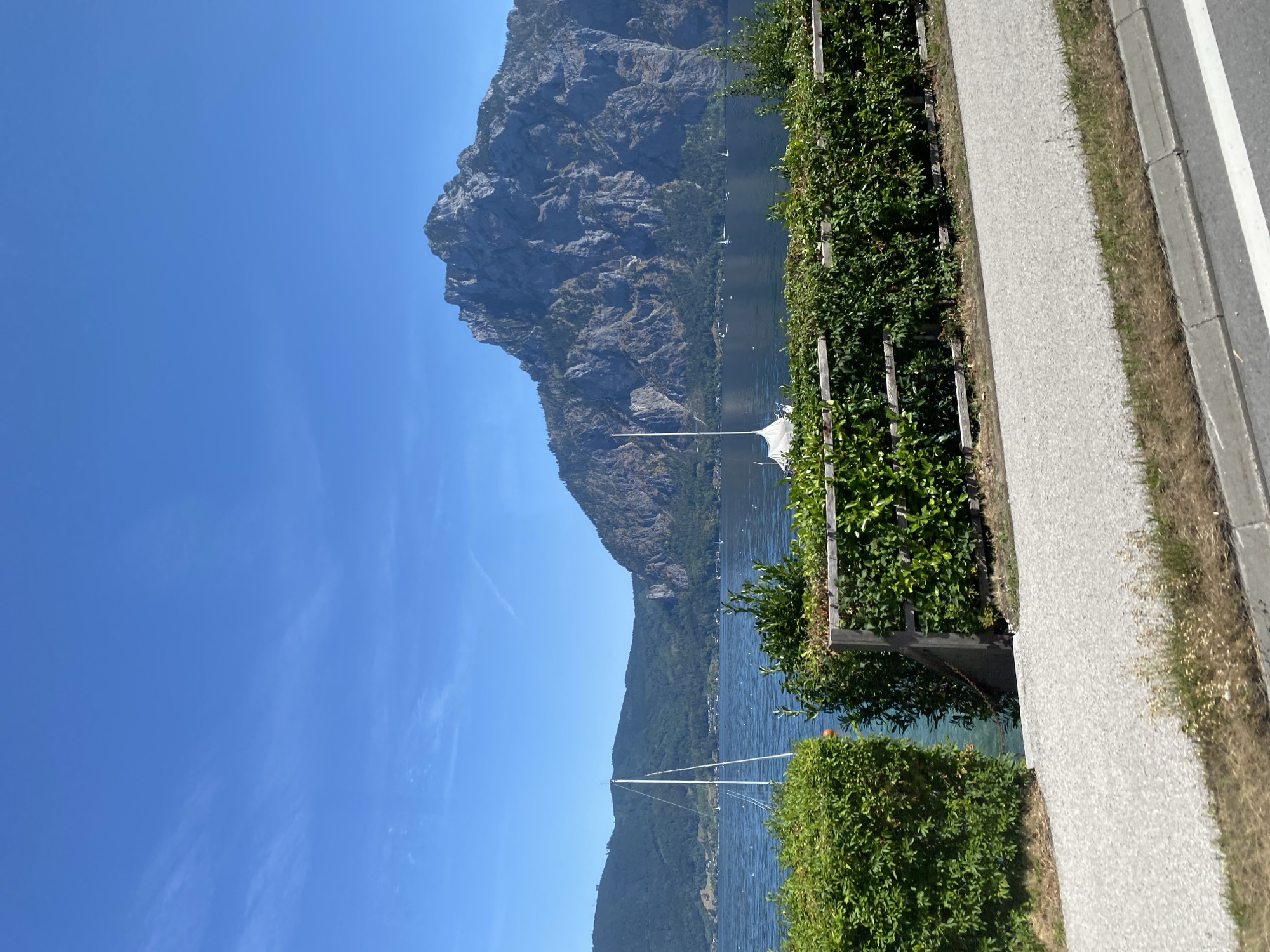This image shows a scenic view of Traunkirchen, Austria, on a clear, sunny day. The foreground features a paved walkway and a well-maintained hedge fence separating the walkway from a body of water. Beyond the hedge, a calm lake is visible, dotted with several sailboats. In the background, lush green hills rise to meet a large, rocky mountain with a jagged peak. The sky is a vibrant blue with a few wispy white clouds. The overall impression is one of tranquility and natural beauty.
