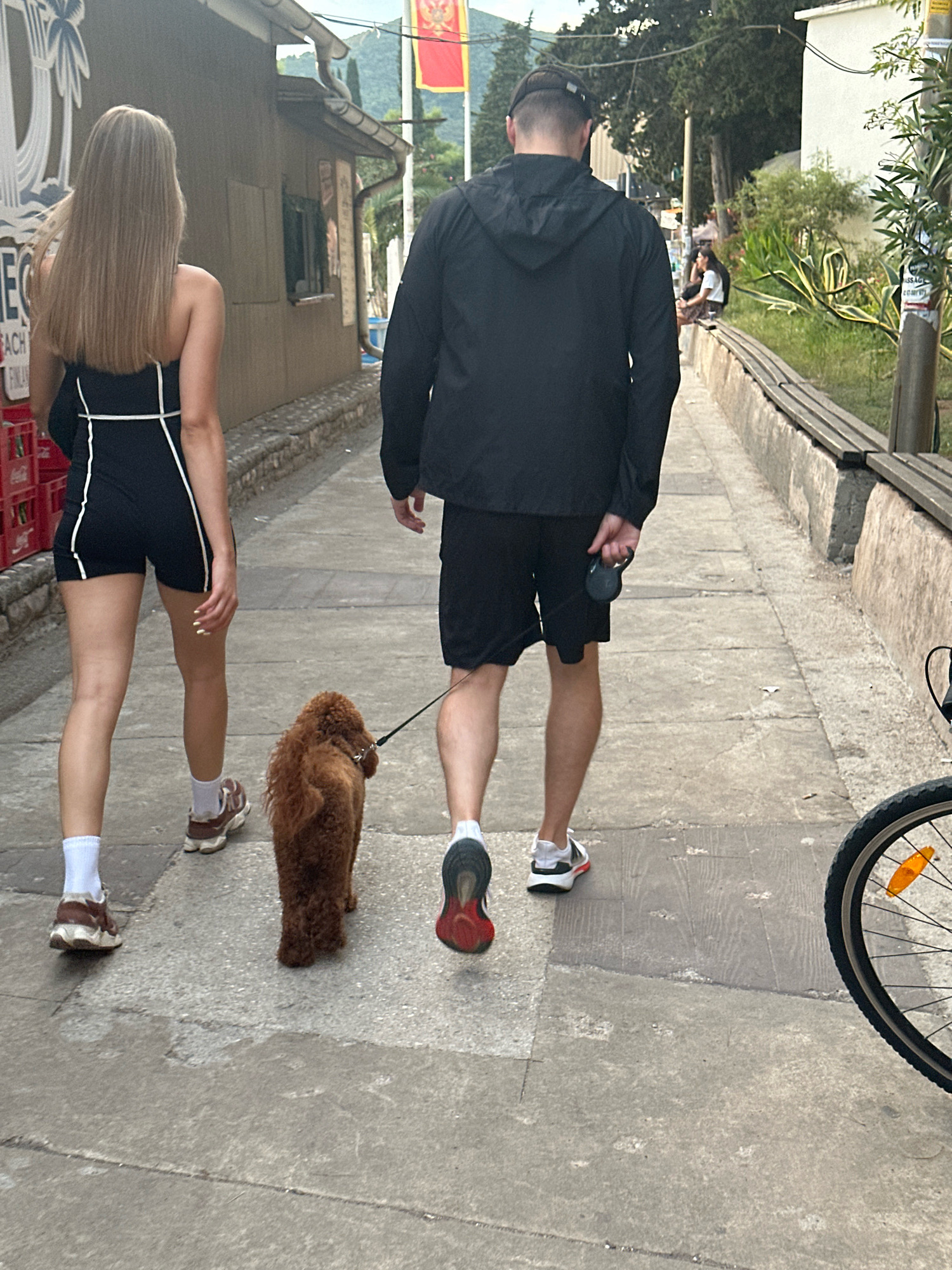 In Budva, Montenegro, two individuals, a woman and a man, are walking along a paved path outdoors. The woman, seen from behind, has long blonde hair and is wearing a black strapless outfit with white trim, and white socks with brown and white sneakers. The man, also seen from behind, is wearing a black hooded jacket and black shorts, with black and white sneakers. He is holding a dark-colored dog leash, to which a small, fluffy brown dog is attached. The dog is walking slightly ahead of the man. The path is bordered on the left by a building with a red sign and on the right by a low concrete wall with a wooden bench and vegetation. In the background, a flag with red and yellow colors is visible, and mountainous terrain can be seen further in the distance. A bicycle wheel is partially visible in the lower right corner of the frame.