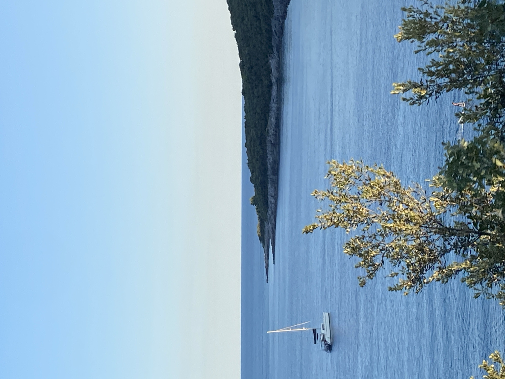 This image depicts a serene coastal scene in Dubraljevina, Montenegro, under a clear blue sky. In the middle ground, a white catamaran with sails furled is anchored on the calm, blue sea. To the right, a lush, green, tree-covered coastline curves into the distance. In the foreground, the tops of leafy green trees frame the view. The water is a tranquil blue, reflecting the clear sky.