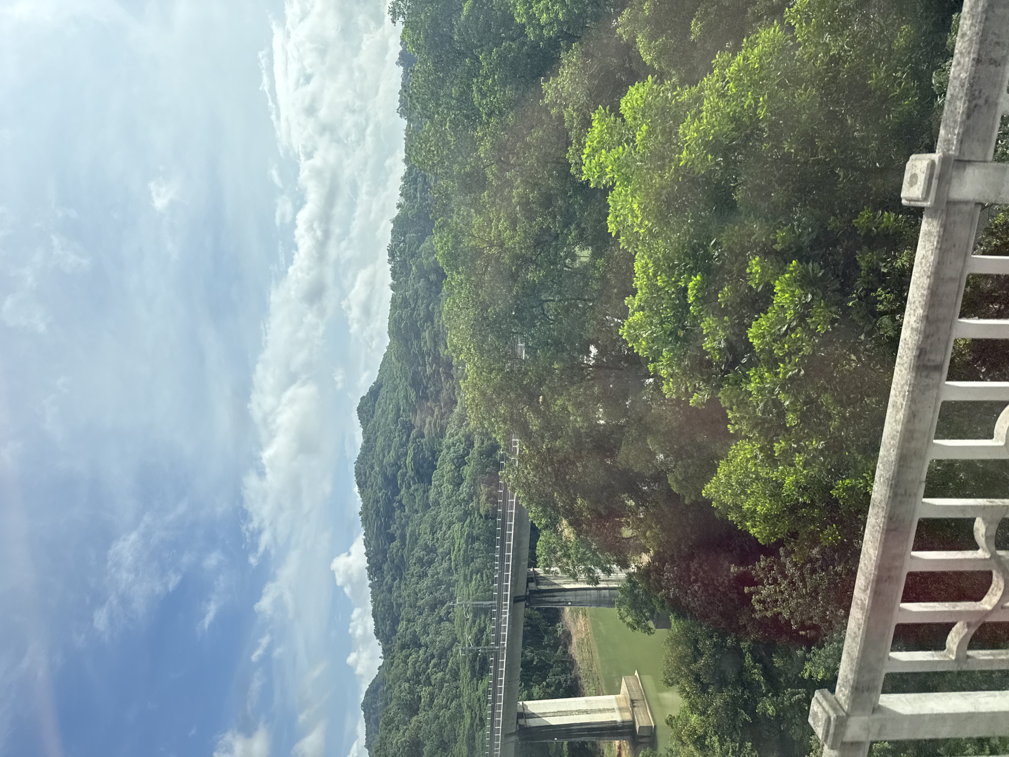 The image shows a view from a bridge or elevated walkway looking out over a lush green landscape with a large viaduct spanning across a body of water. The viaduct, constructed of concrete, has multiple pillars supporting a wide roadway or railway line, with overhead power lines visible. The water below the viaduct appears to be a greenish hue. Dense, verdant foliage covers rolling hills in the background, with a few scattered clouds in a bright blue sky. In the foreground, a section of a white concrete railing with decorative cutouts is visible, suggesting the vantage point is from a pedestrian area or structure. The scene suggests a semi-urban or natural setting, possibly in Longhua District, China, where such infrastructure and natural beauty coexist. There are no people or animals visible in the frame, and no apparent activity is taking place other than the implied function of the bridge as a transportation route. The overall impression is one of a picturesque landscape enhanced by modern engineering.